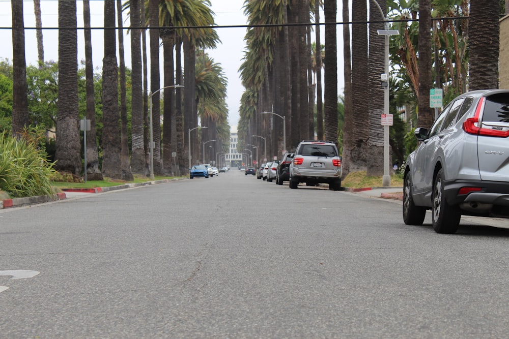 a street lined with parked cars and palm trees