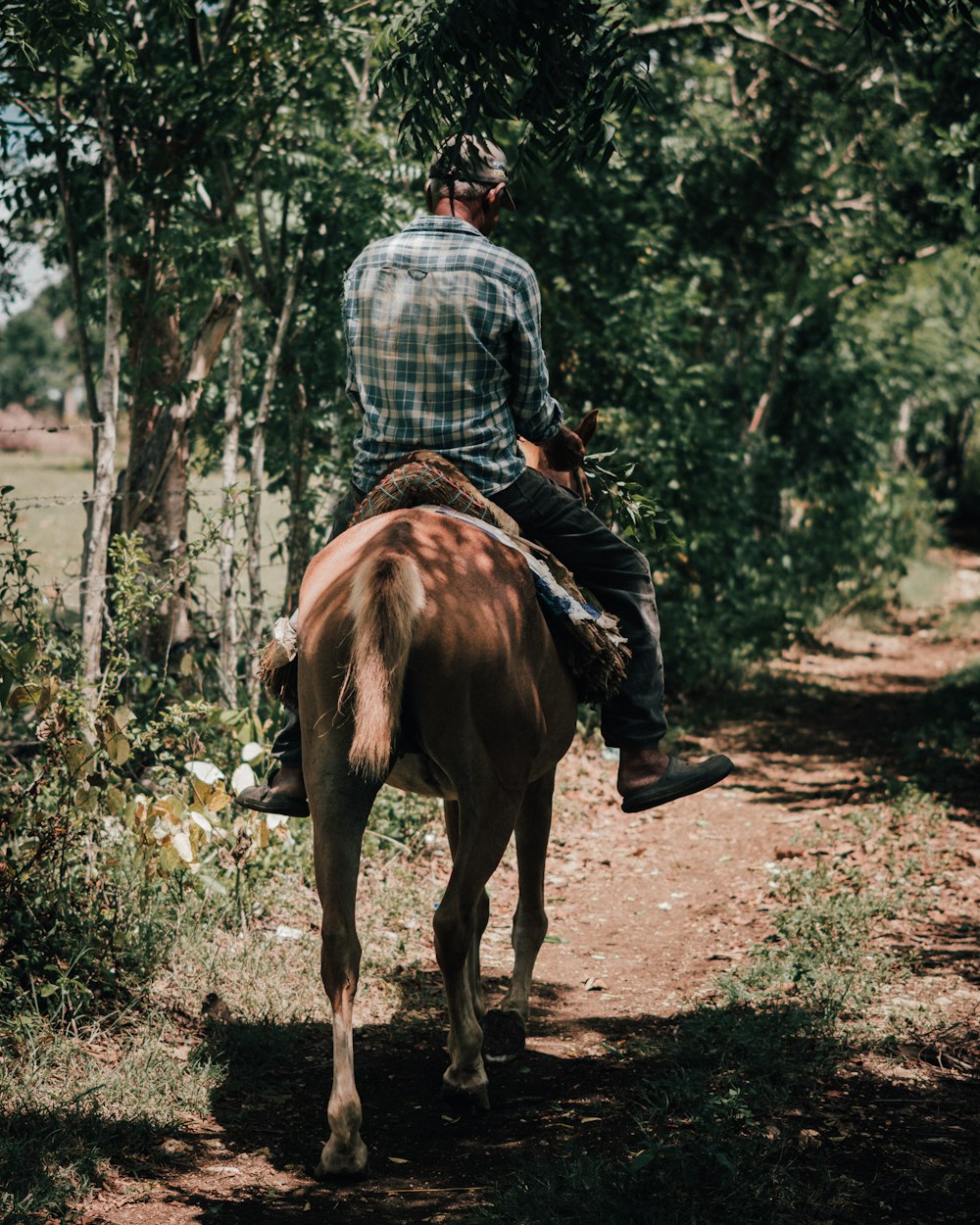 a man riding on the back of a brown horse