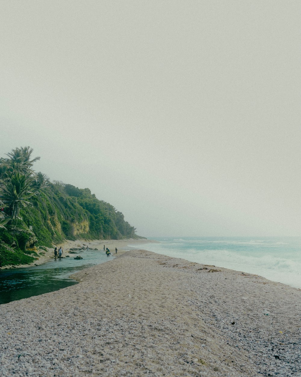 a group of people standing on a beach next to the ocean