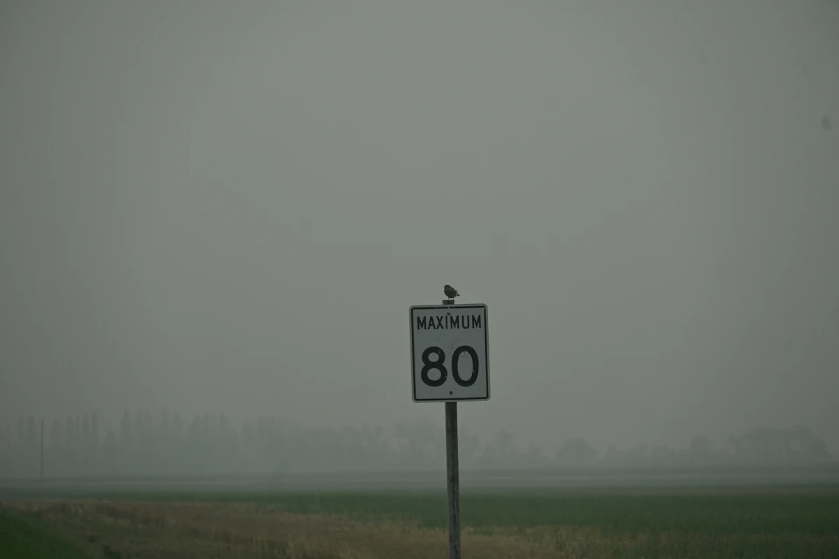 A speed limit sign in fog