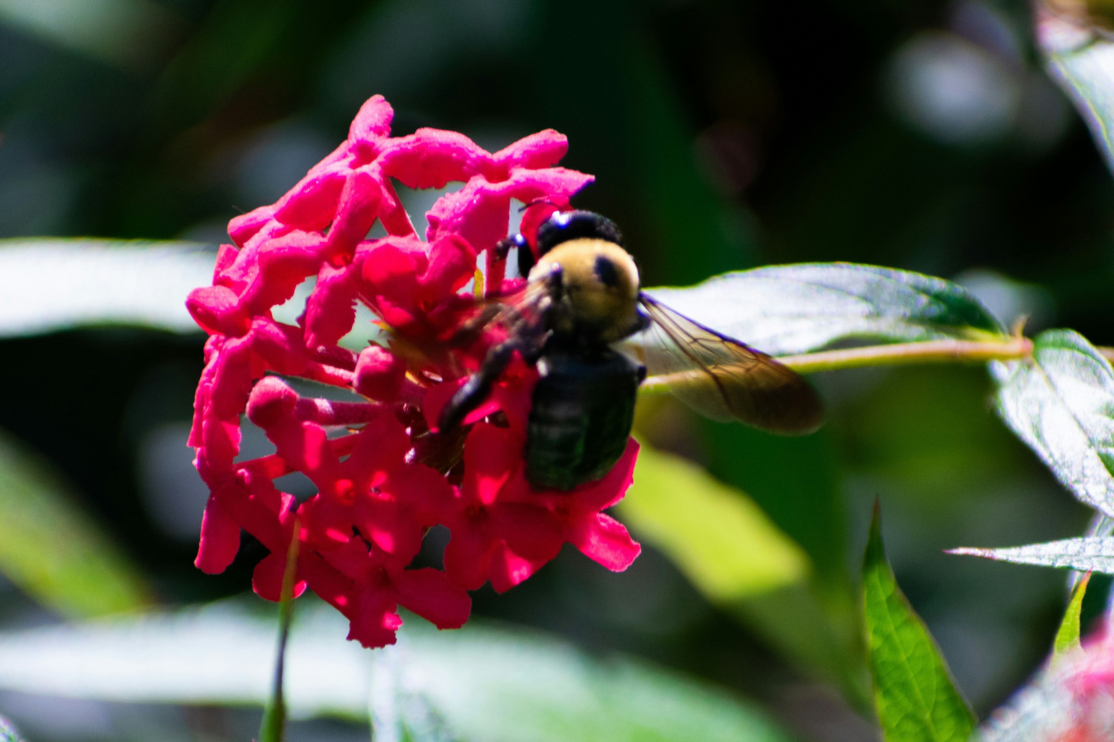 Photo by probablyrobin