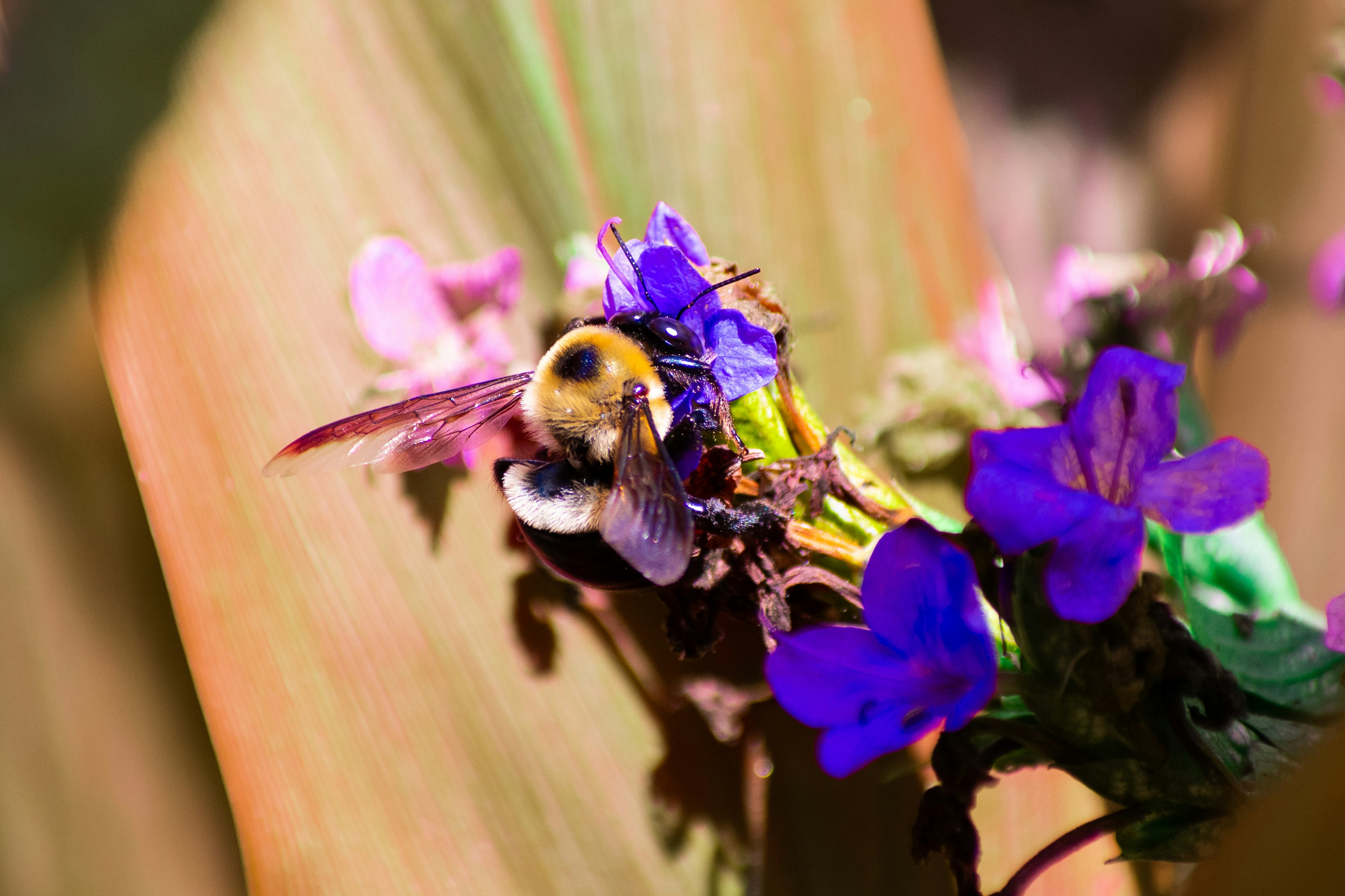 Photo by probablyrobin