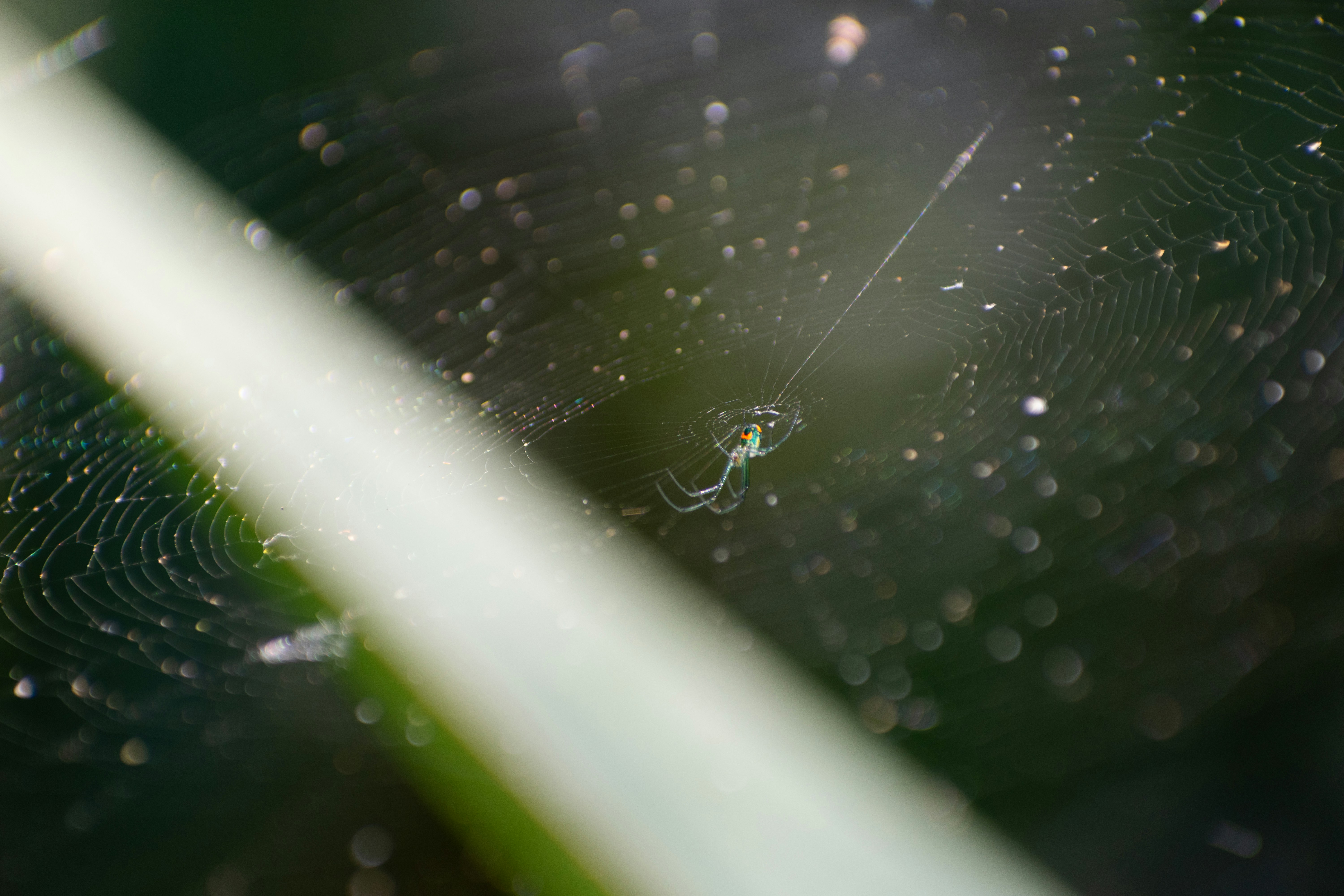 Photo by probablyrobin