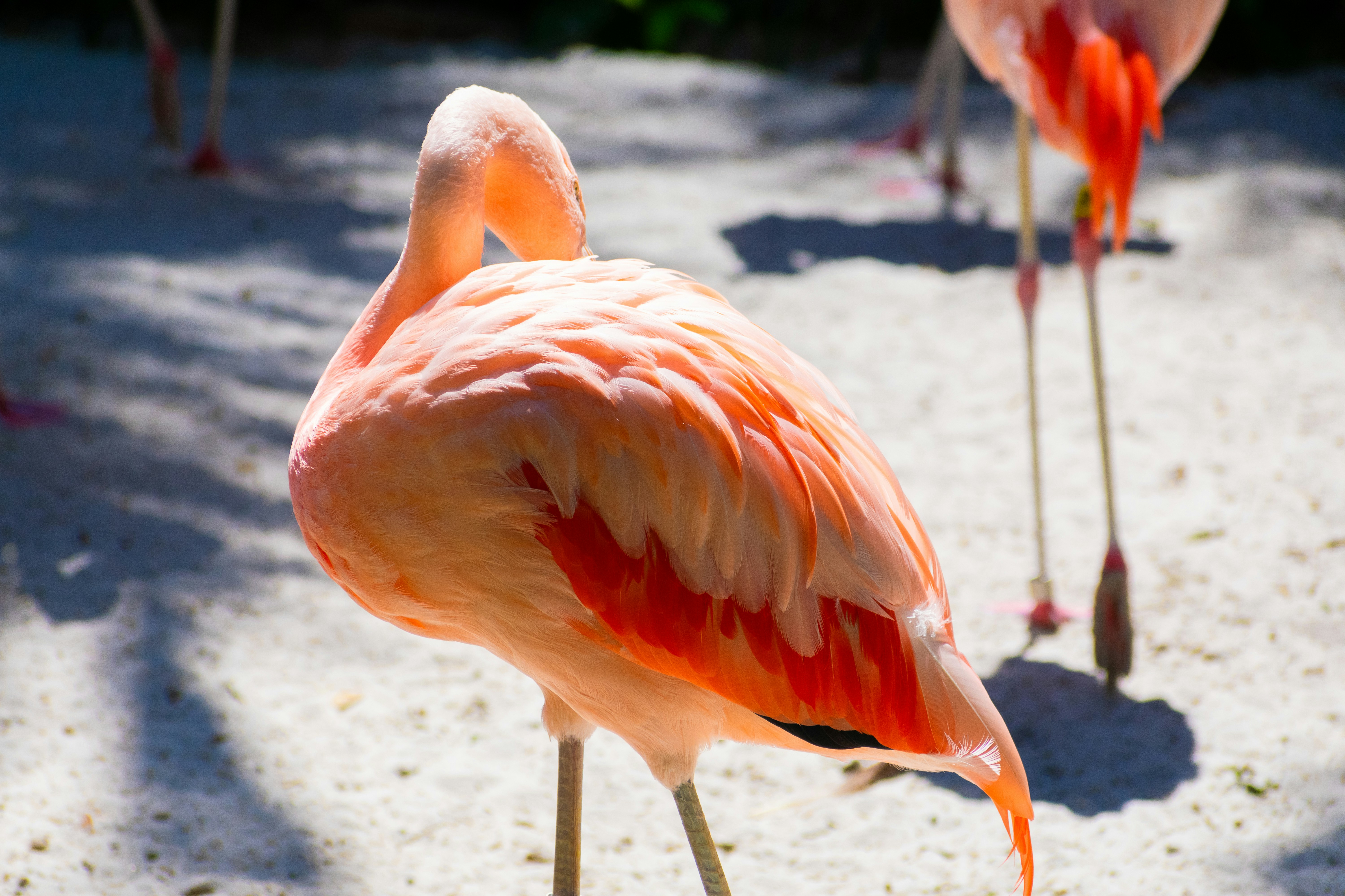 Photo by probablyrobin