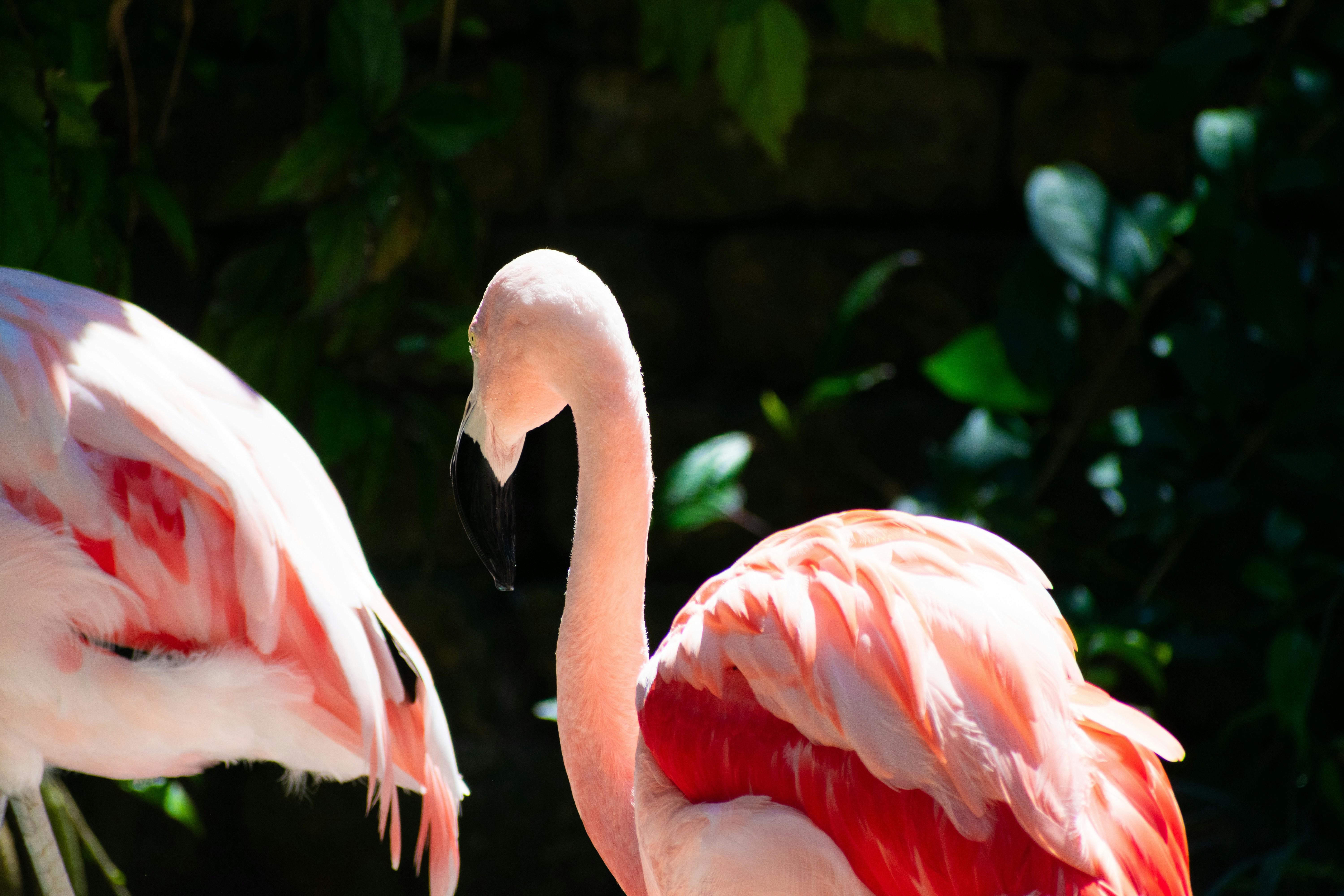 Photo by probablyrobin