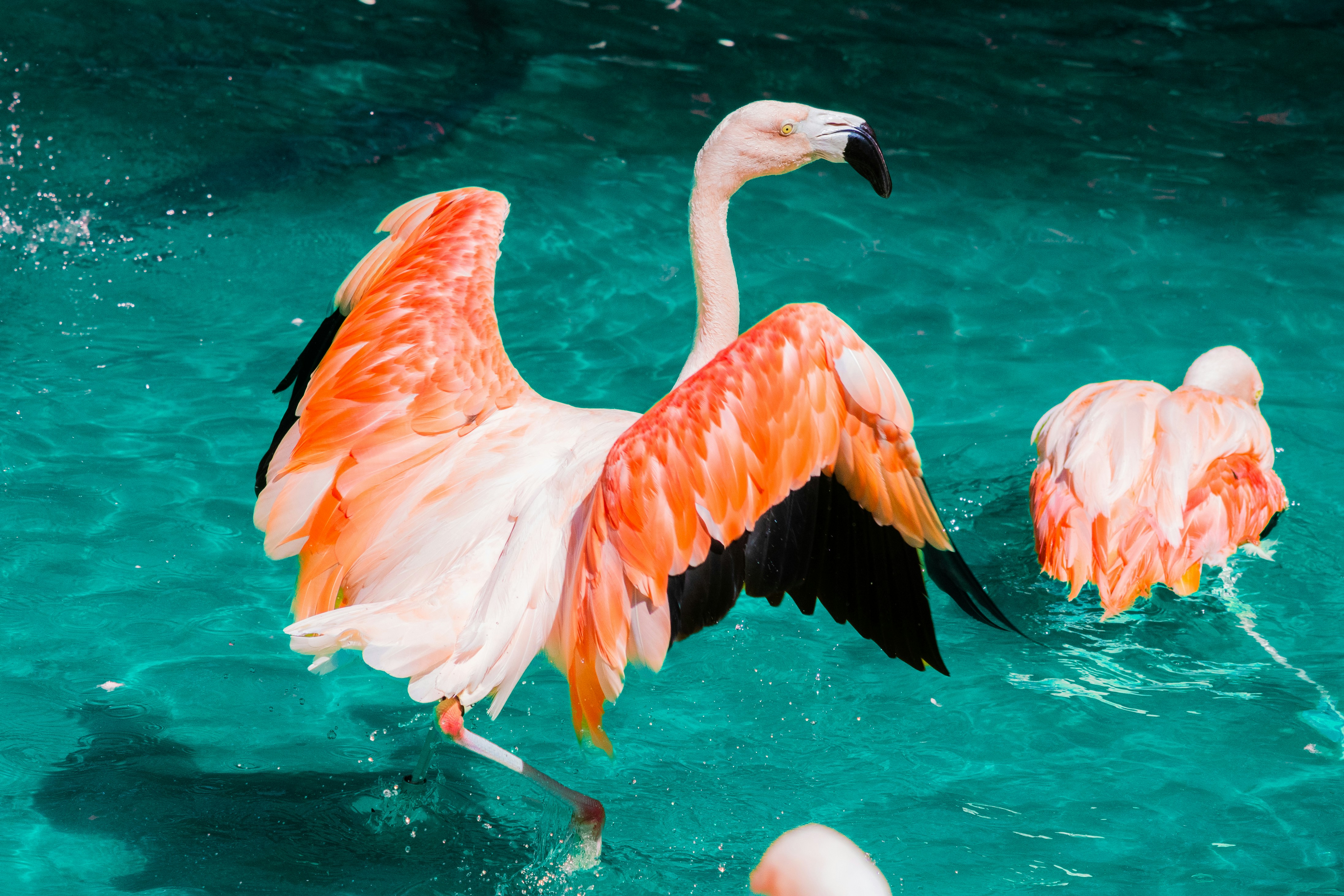 Photo by probablyrobin