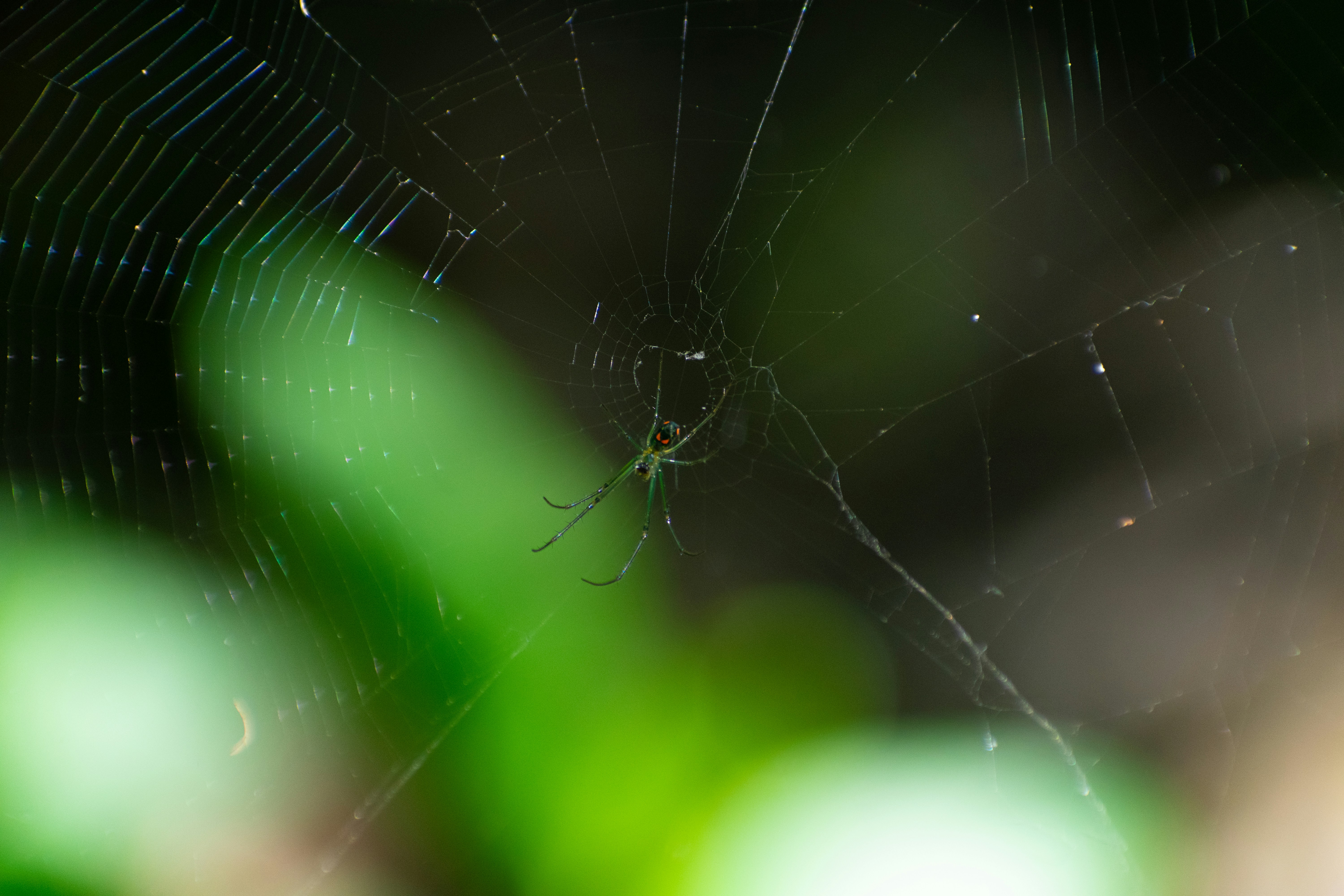 Photo by probablyrobin