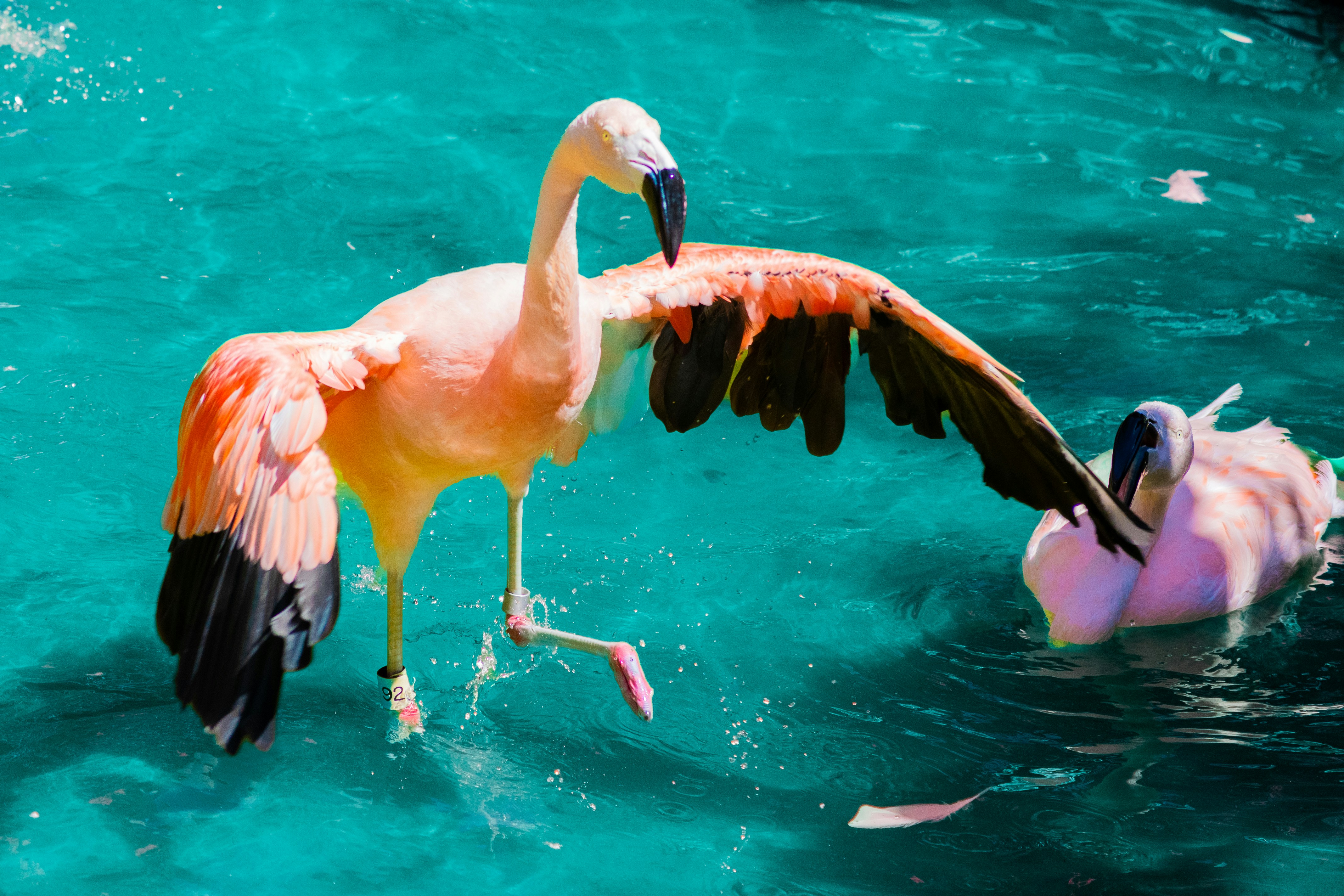 Photo by probablyrobin