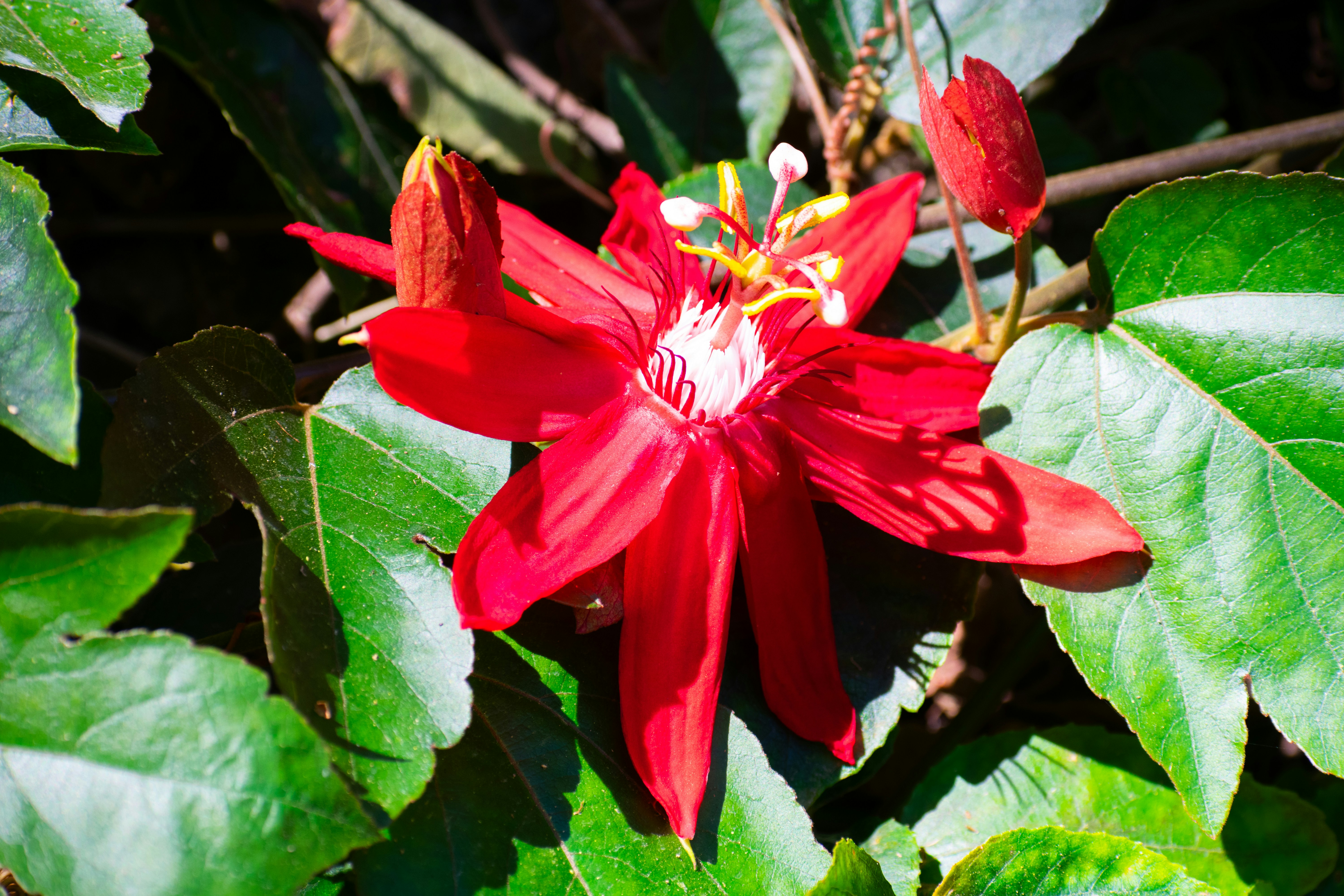 Photo by probablyrobin