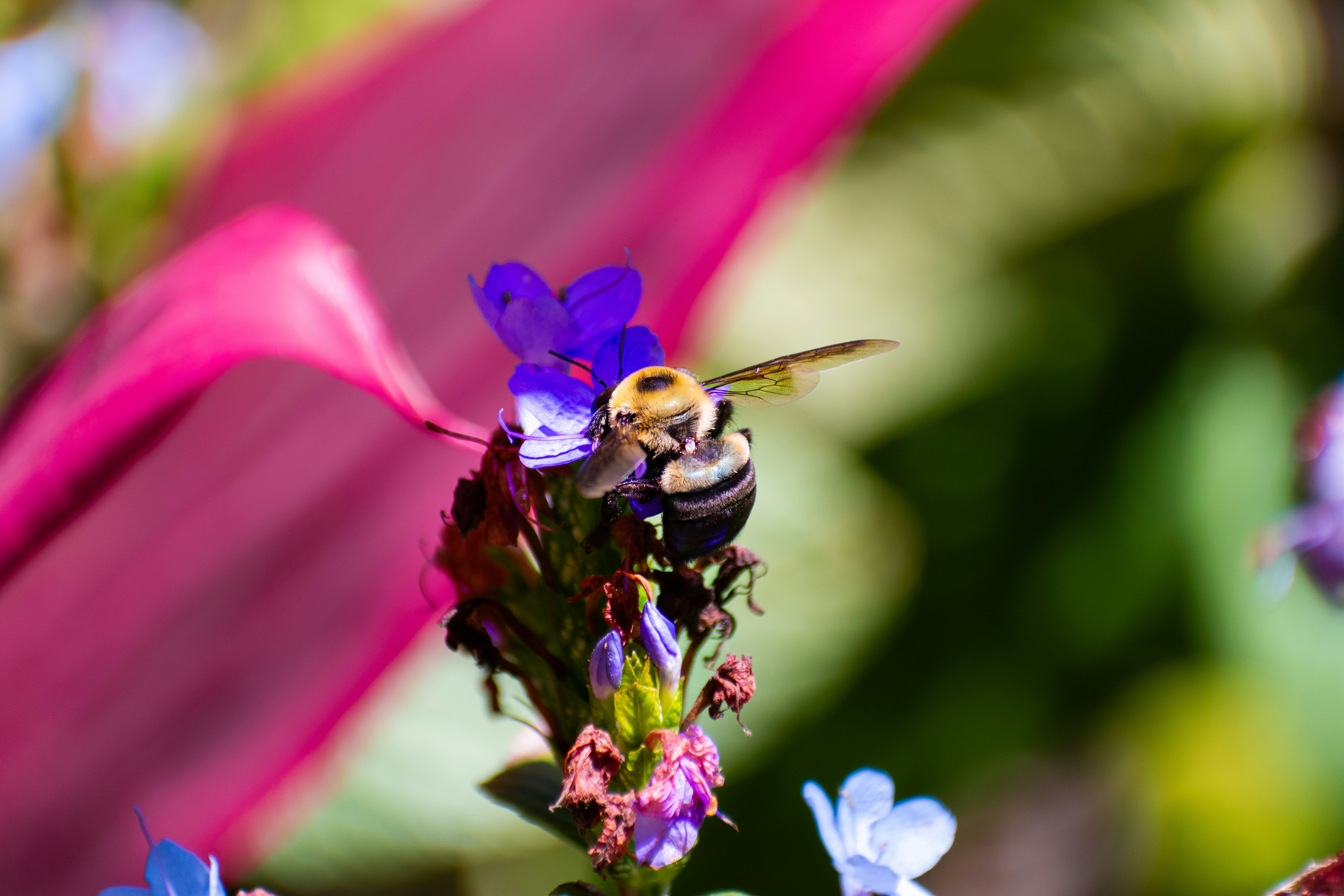 Photo by probablyrobin