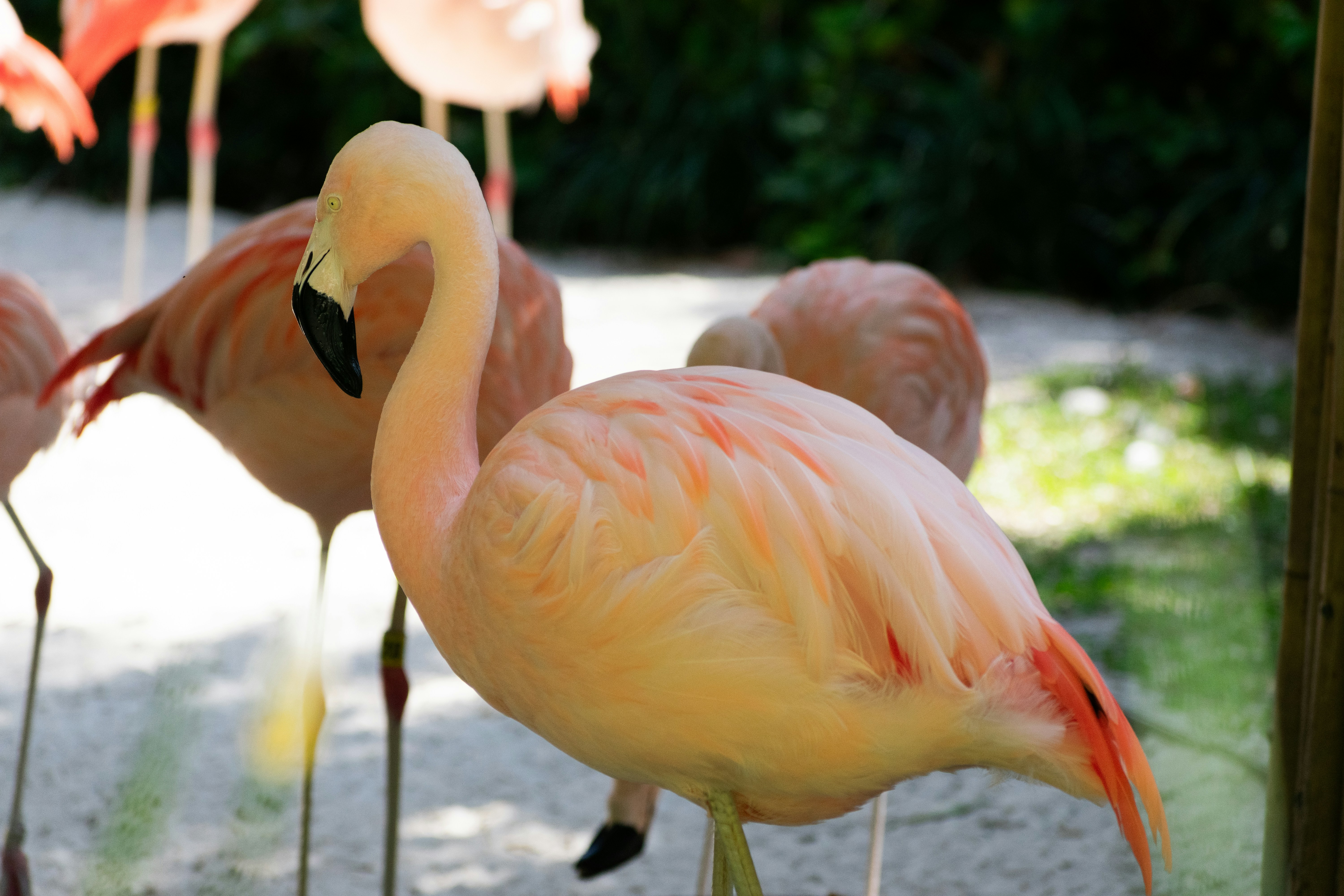 Photo by probablyrobin