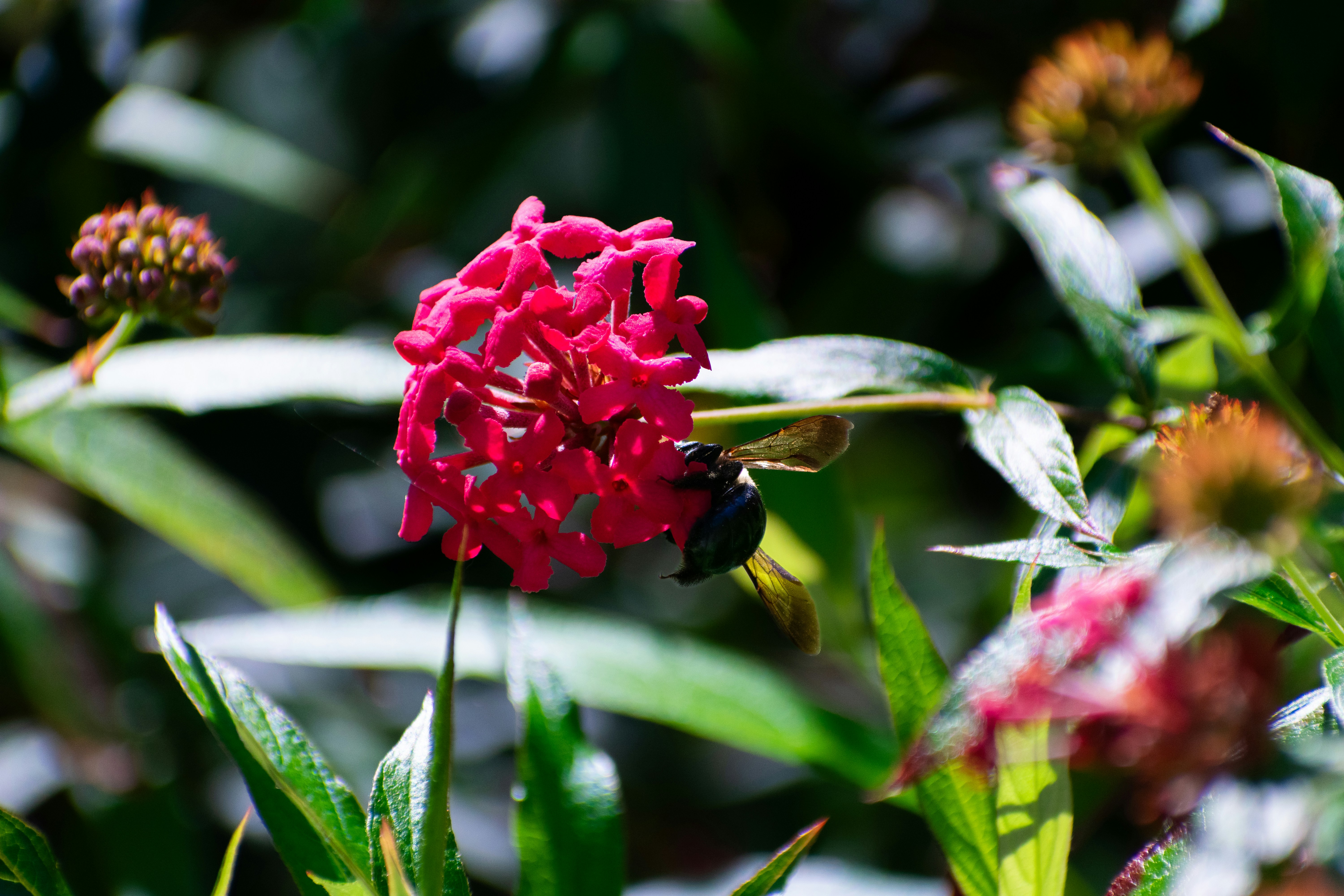 Photo by probablyrobin