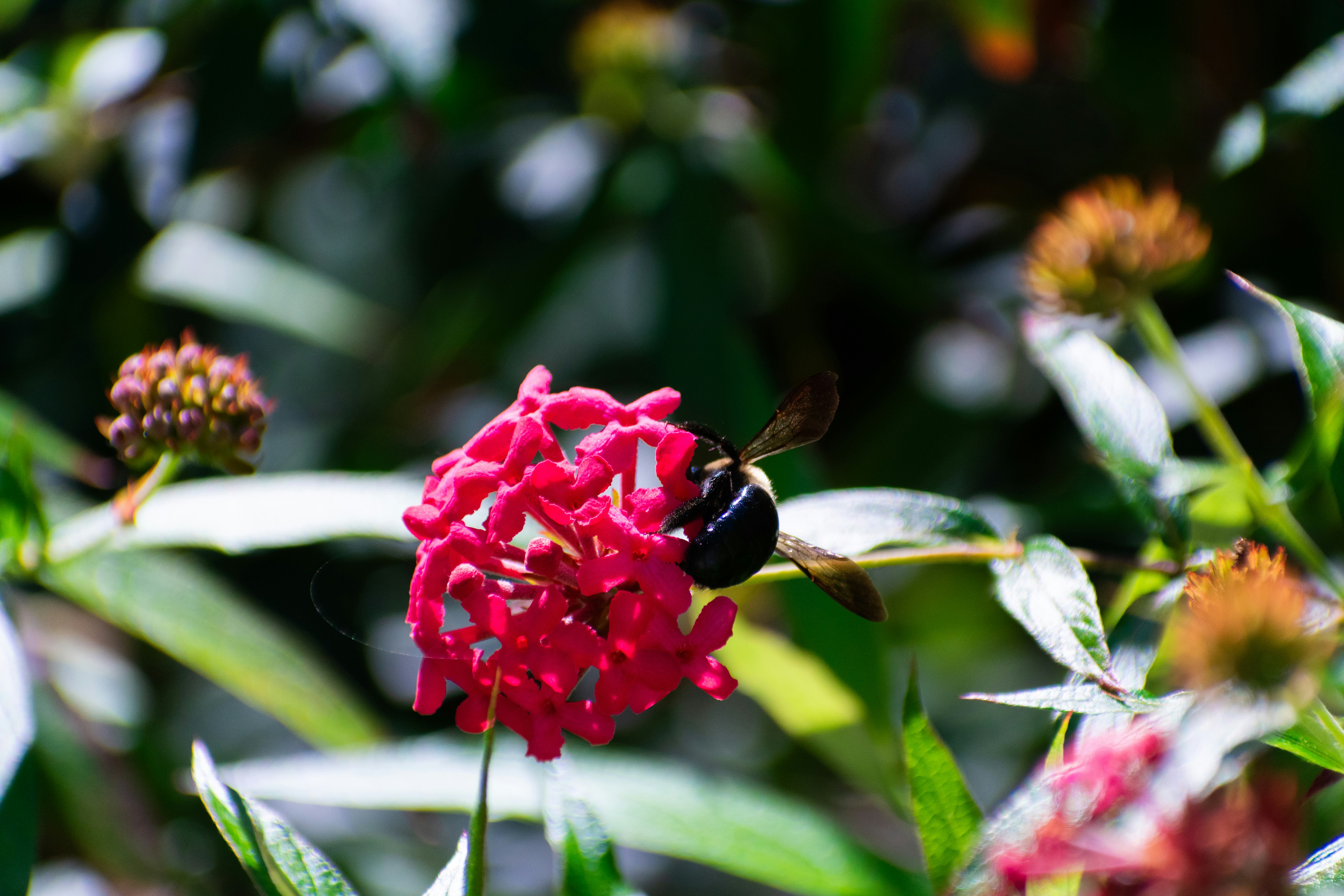 Photo by probablyrobin