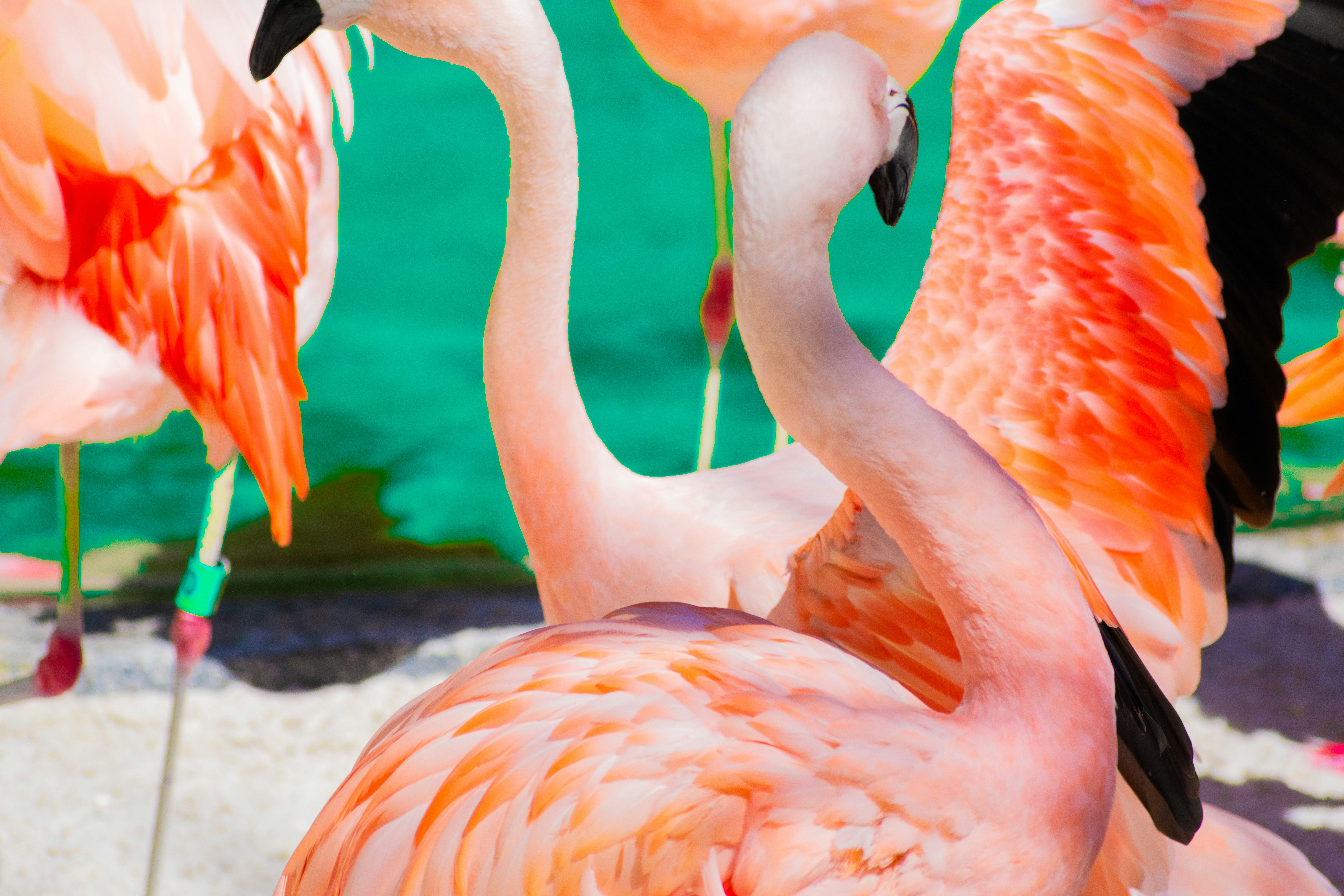 Photo by probablyrobin