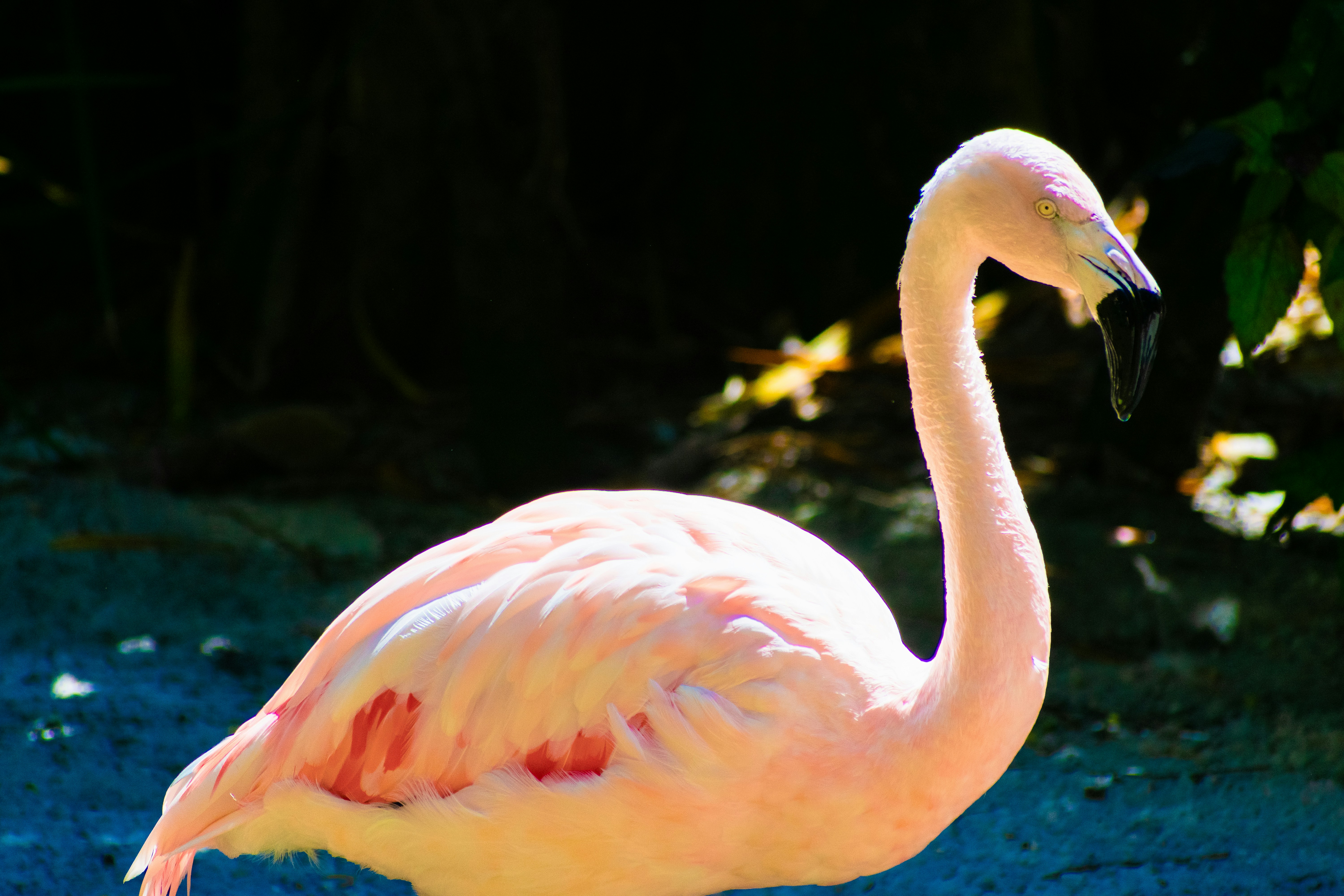 Photo by probablyrobin