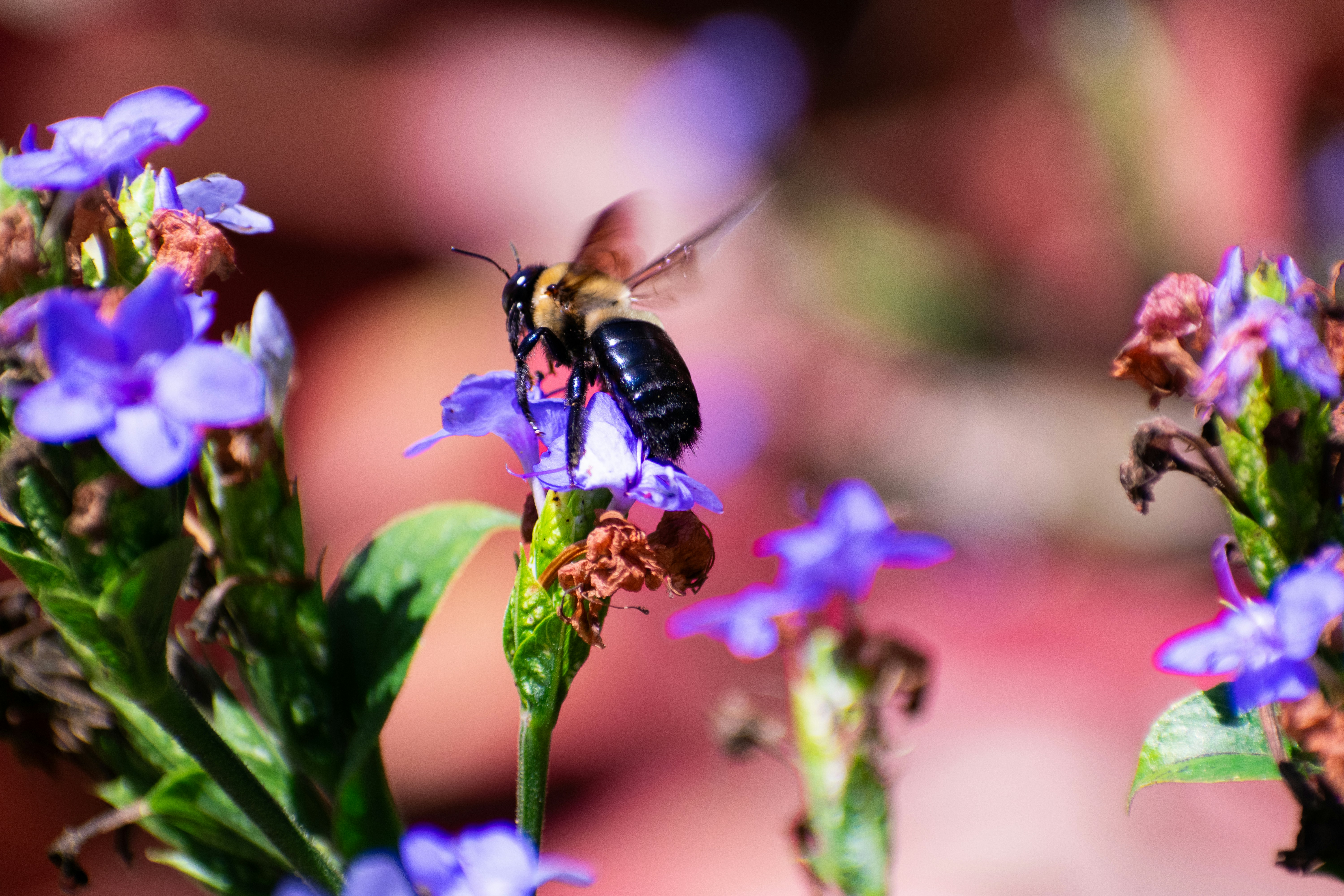 Photo by probablyrobin