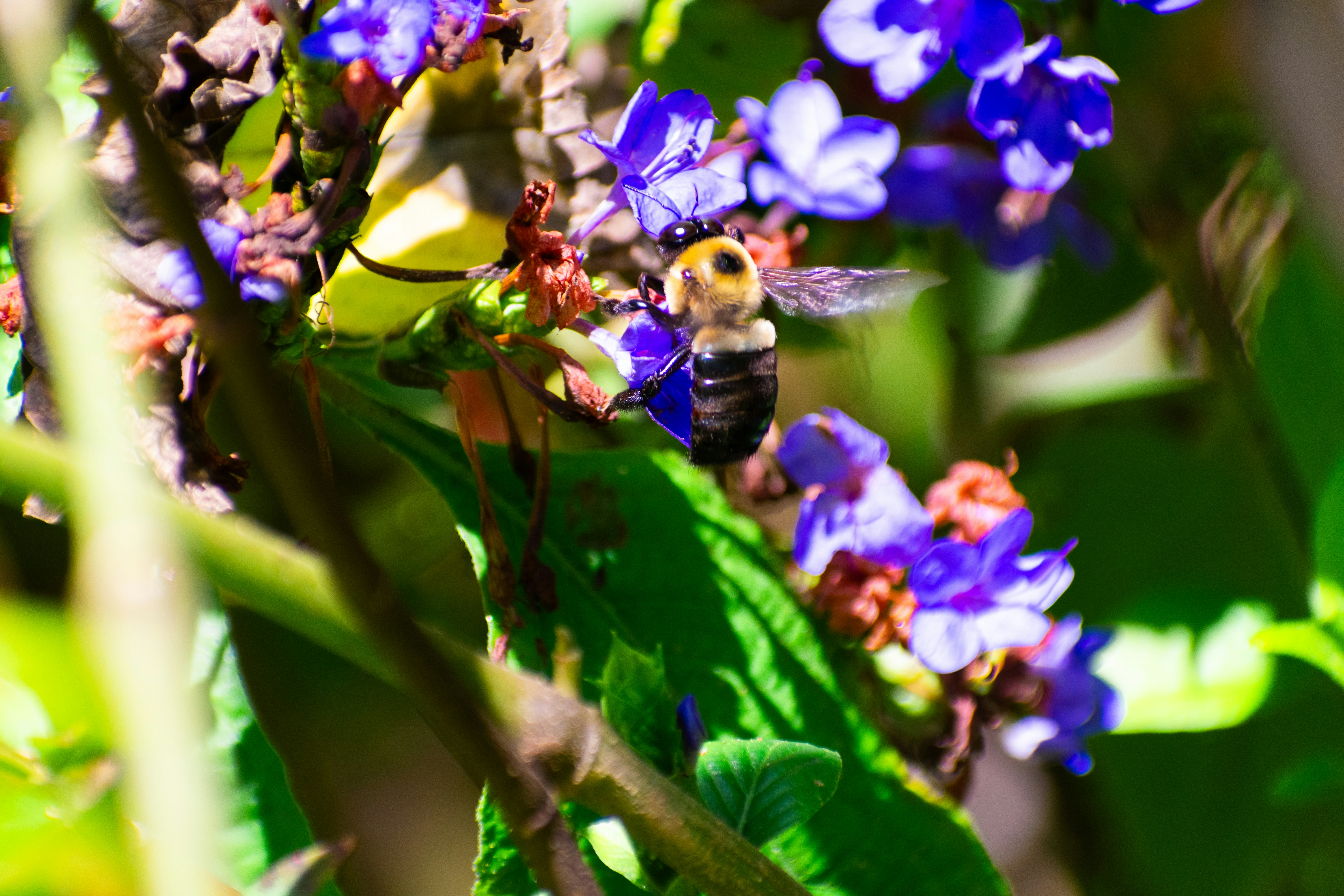 Photo by probablyrobin