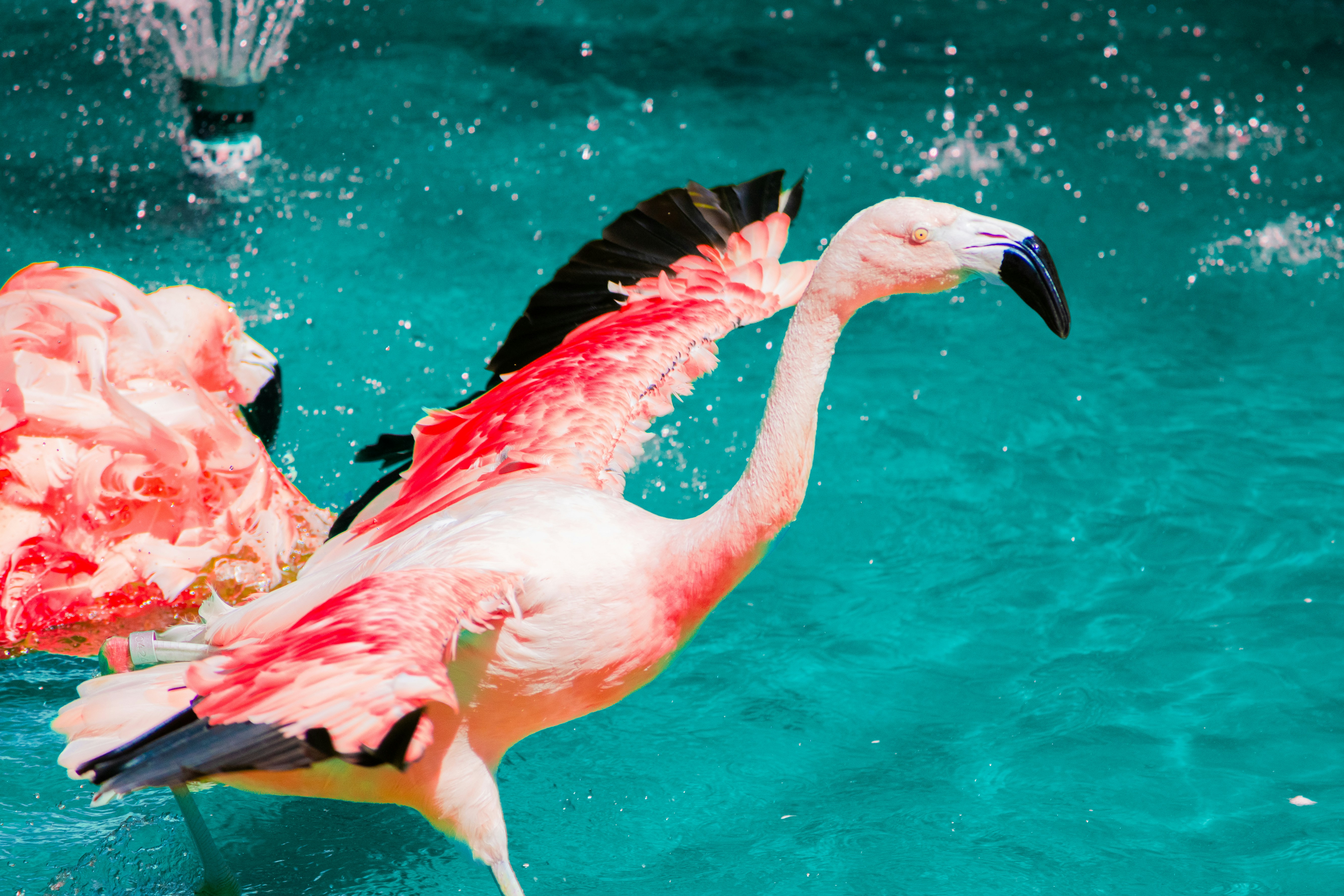 Photo by probablyrobin