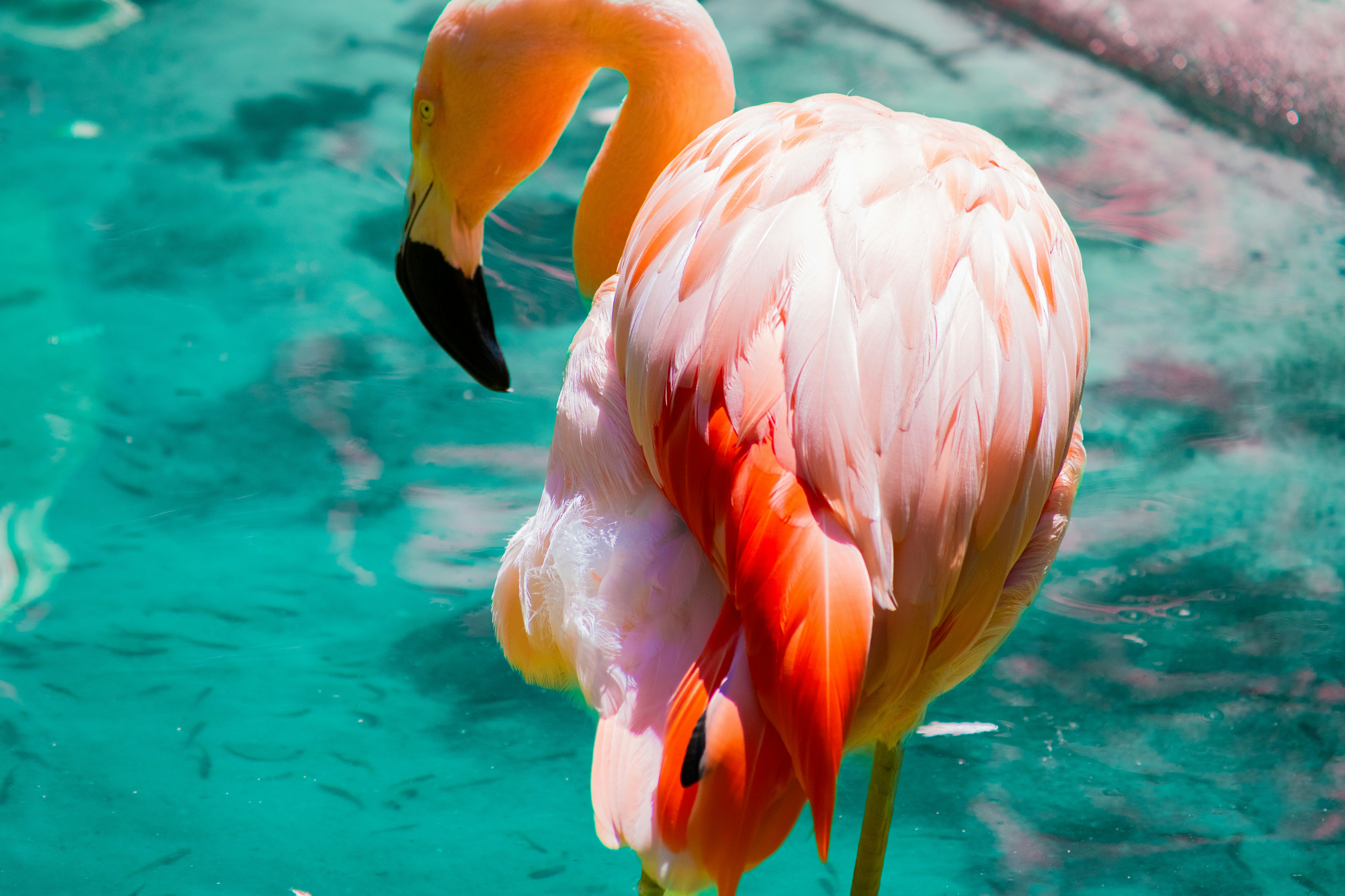 Photo by probablyrobin