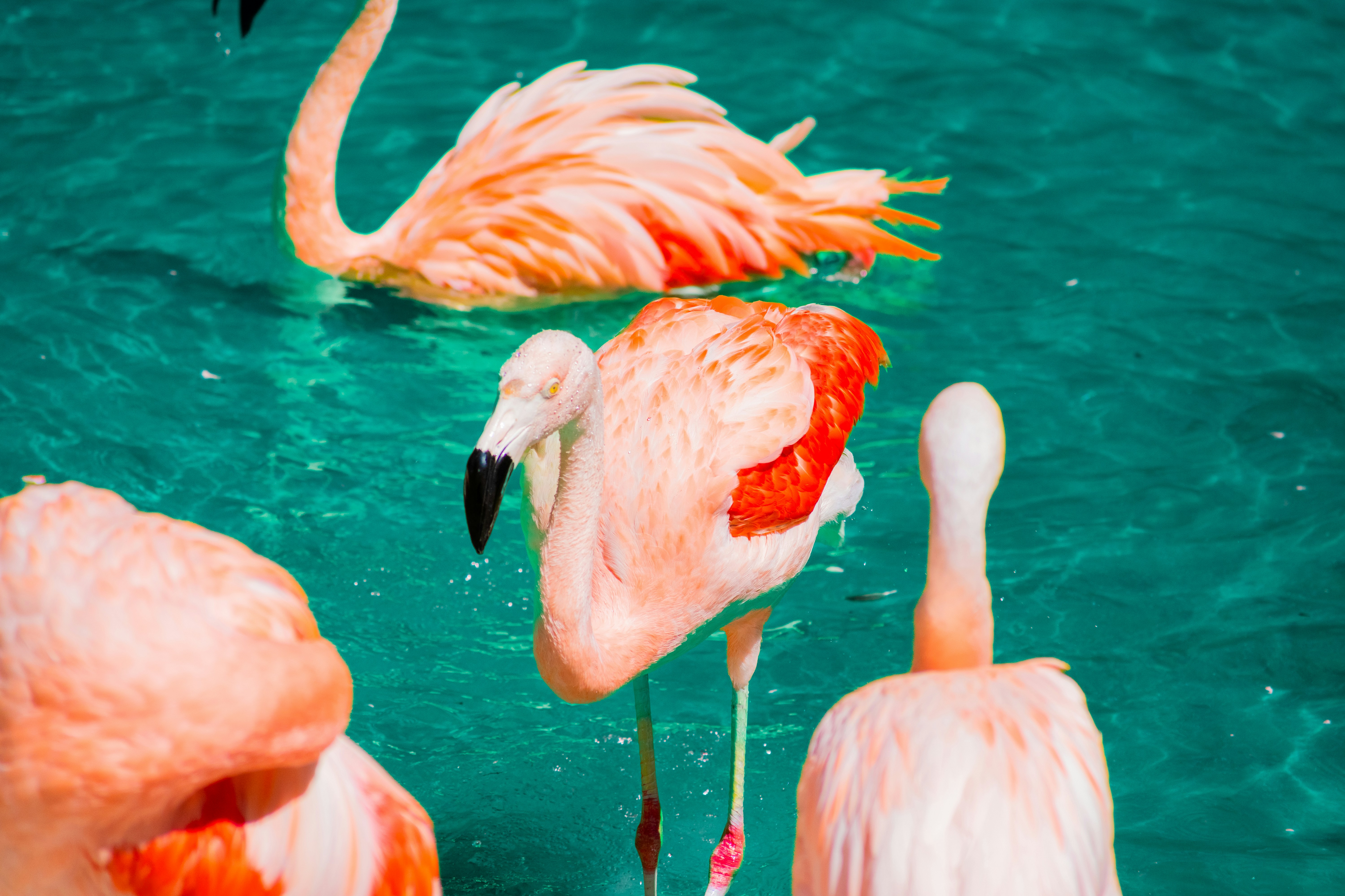 Photo by probablyrobin