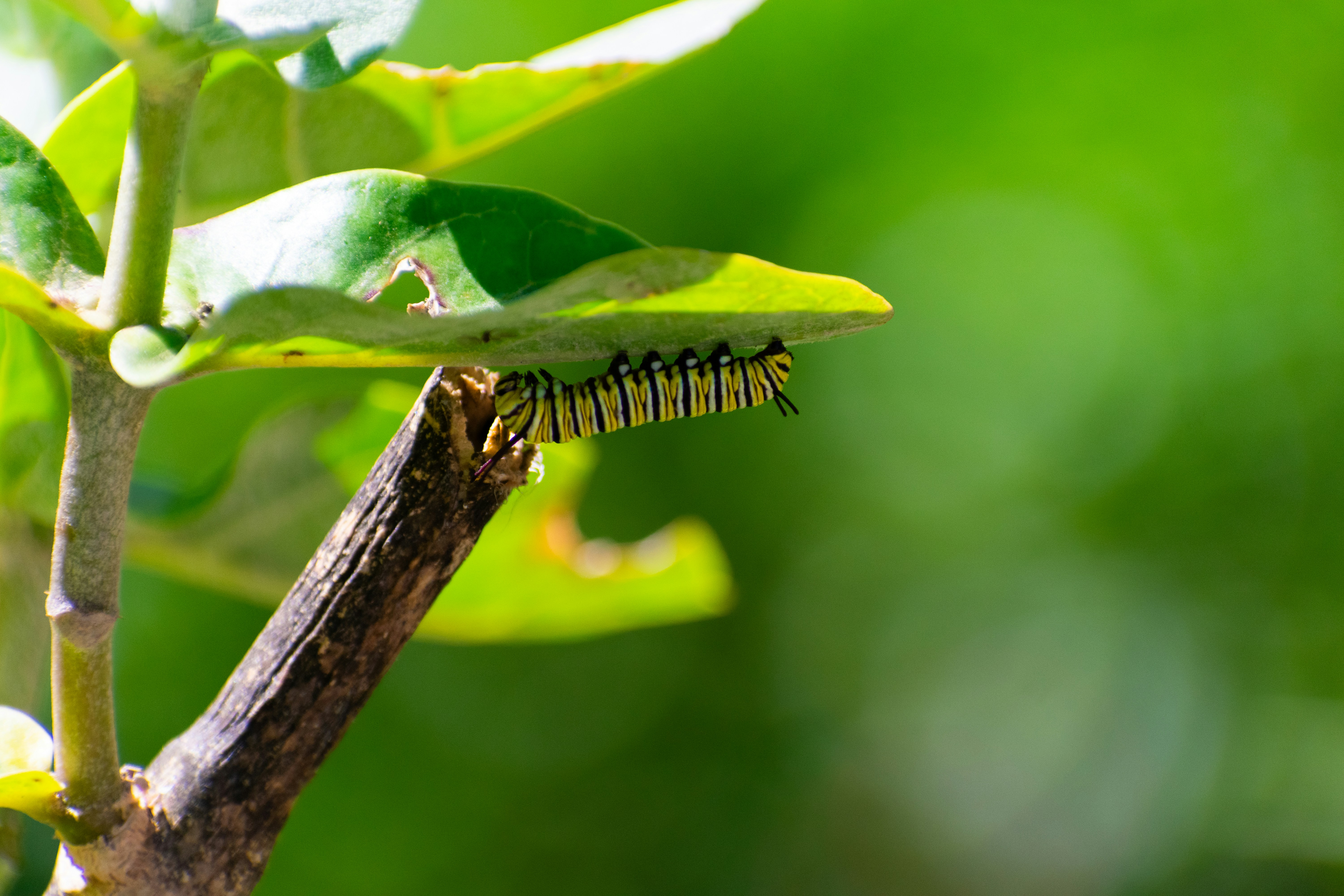 Photo by probablyrobin