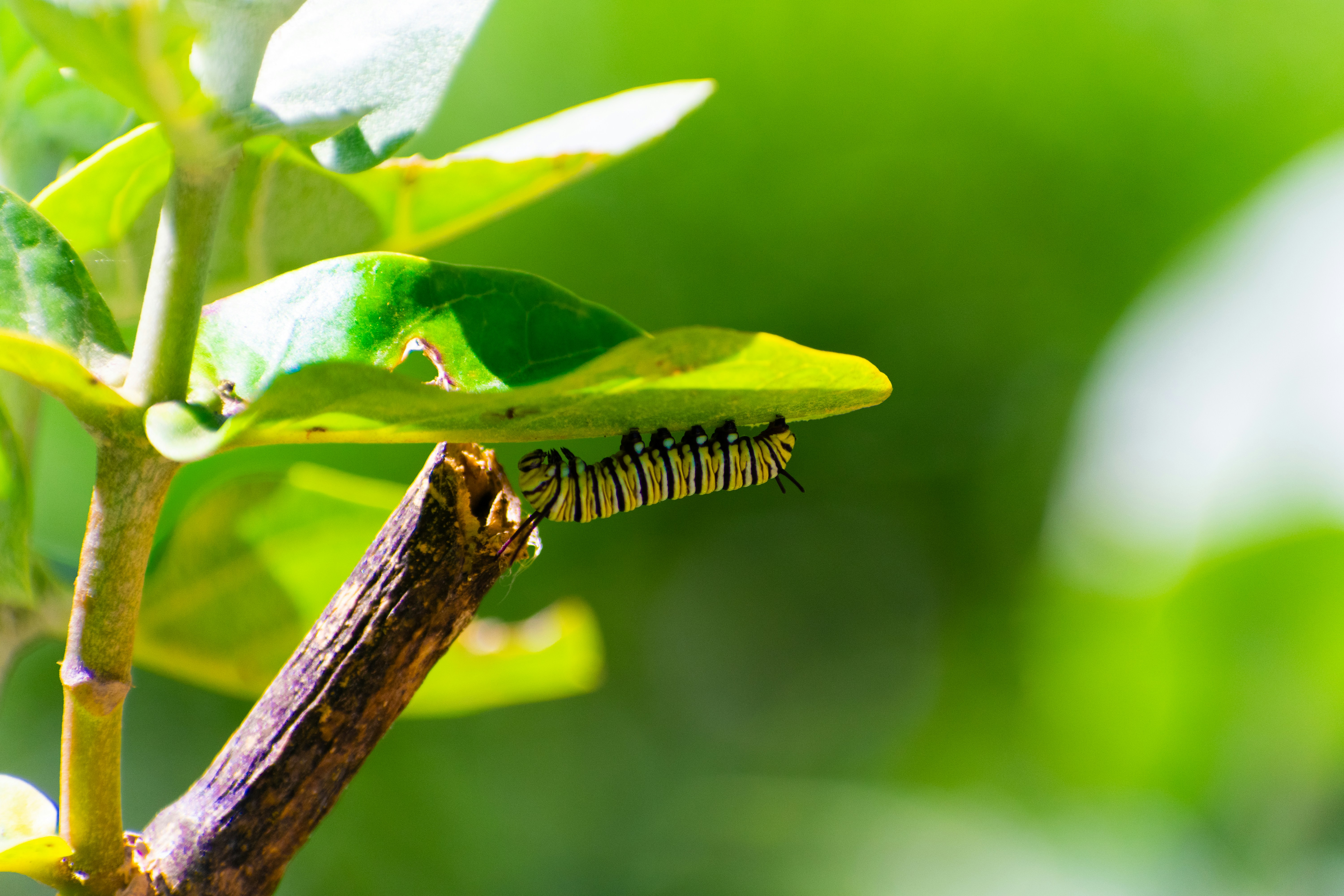 Photo by probablyrobin