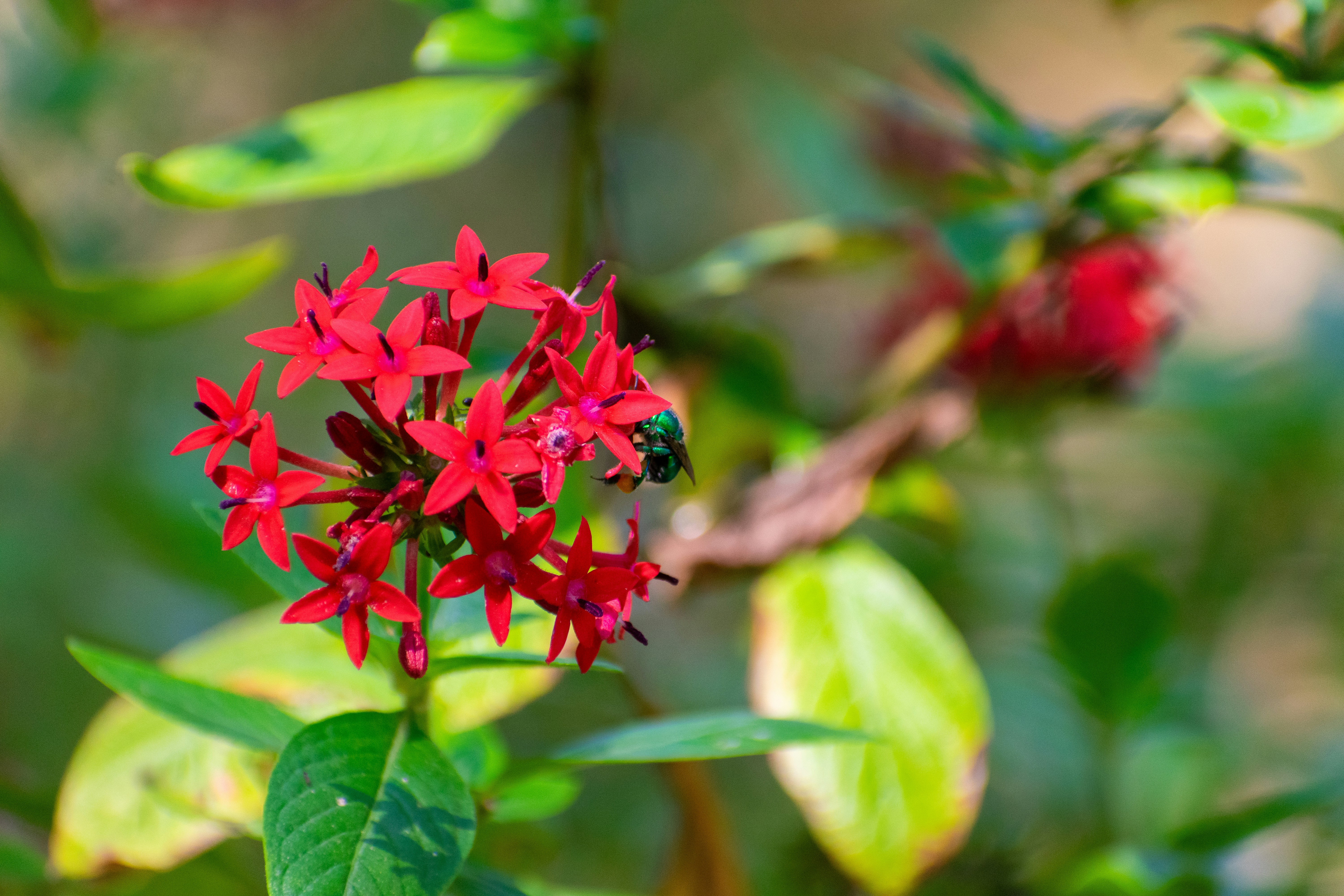 Photo by probablyrobin