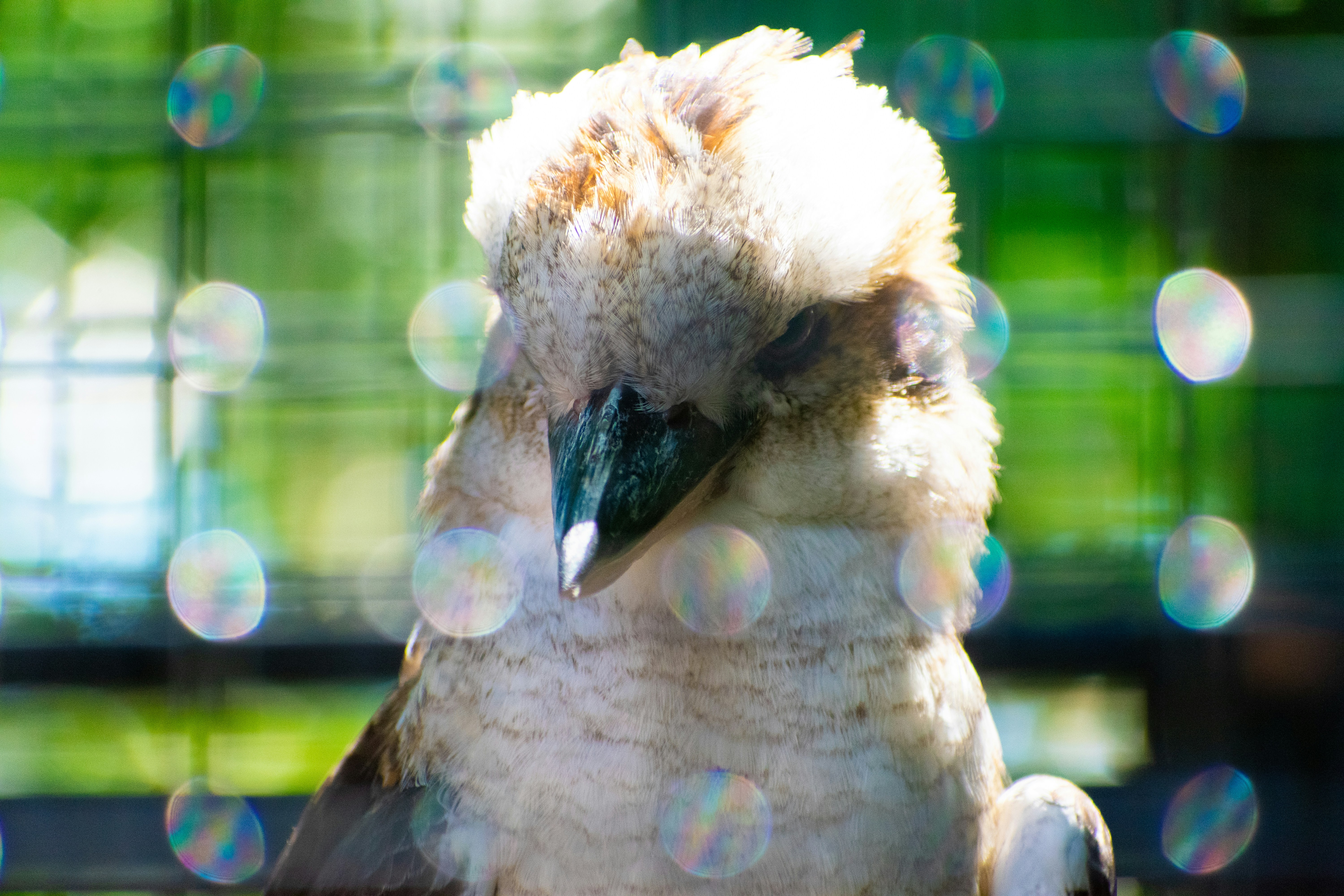 Photo by probablyrobin