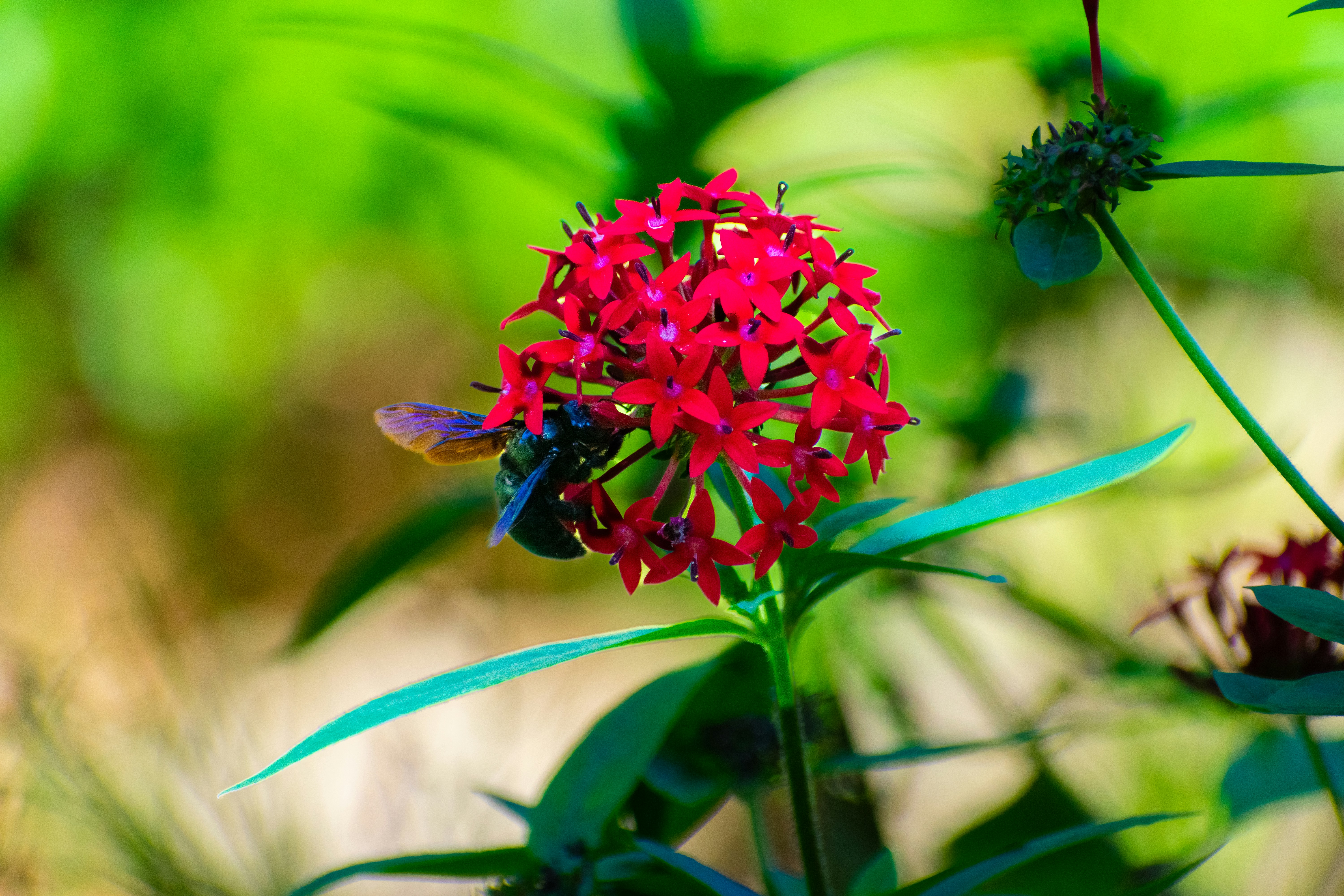 Photo by probablyrobin