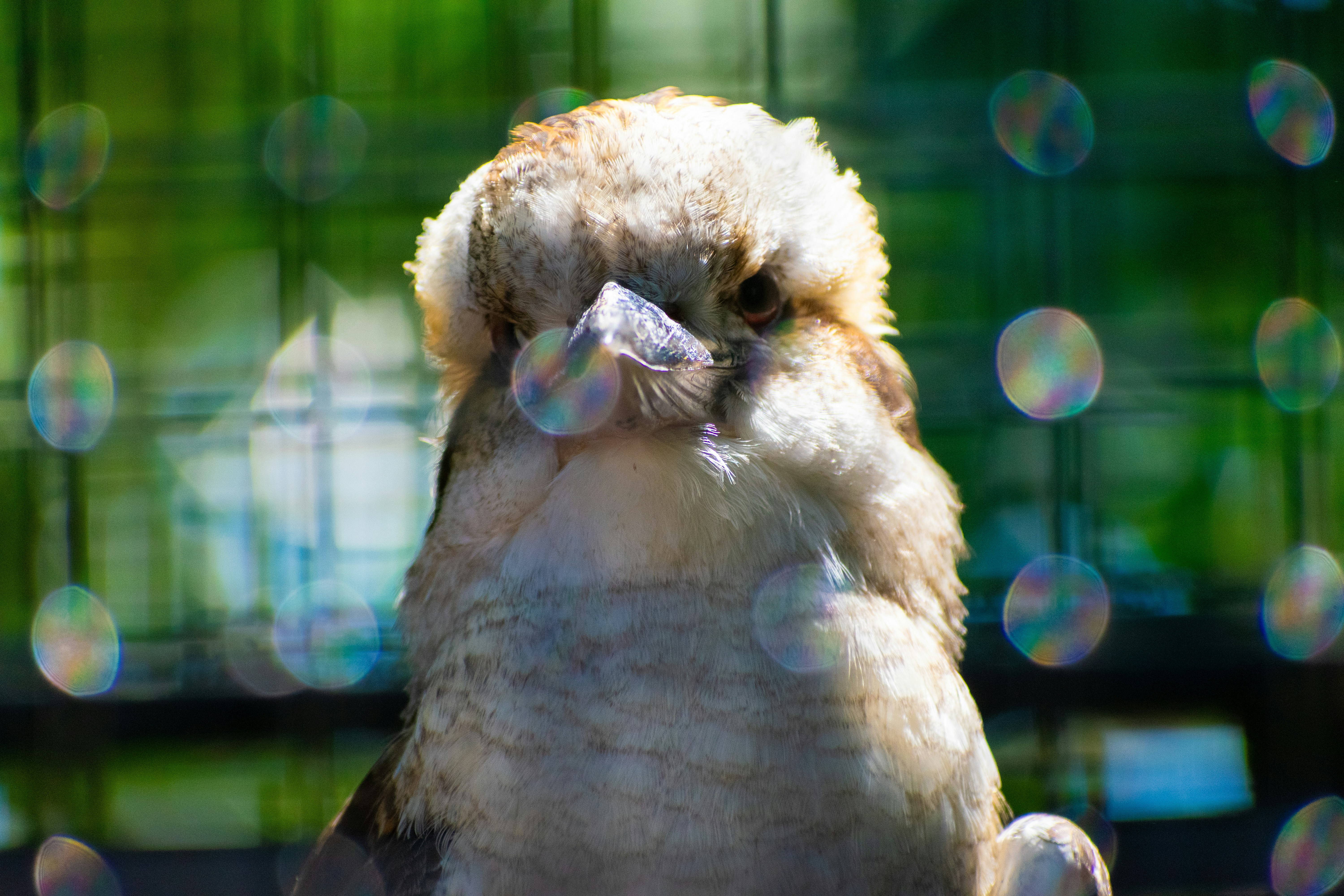 Photo by probablyrobin