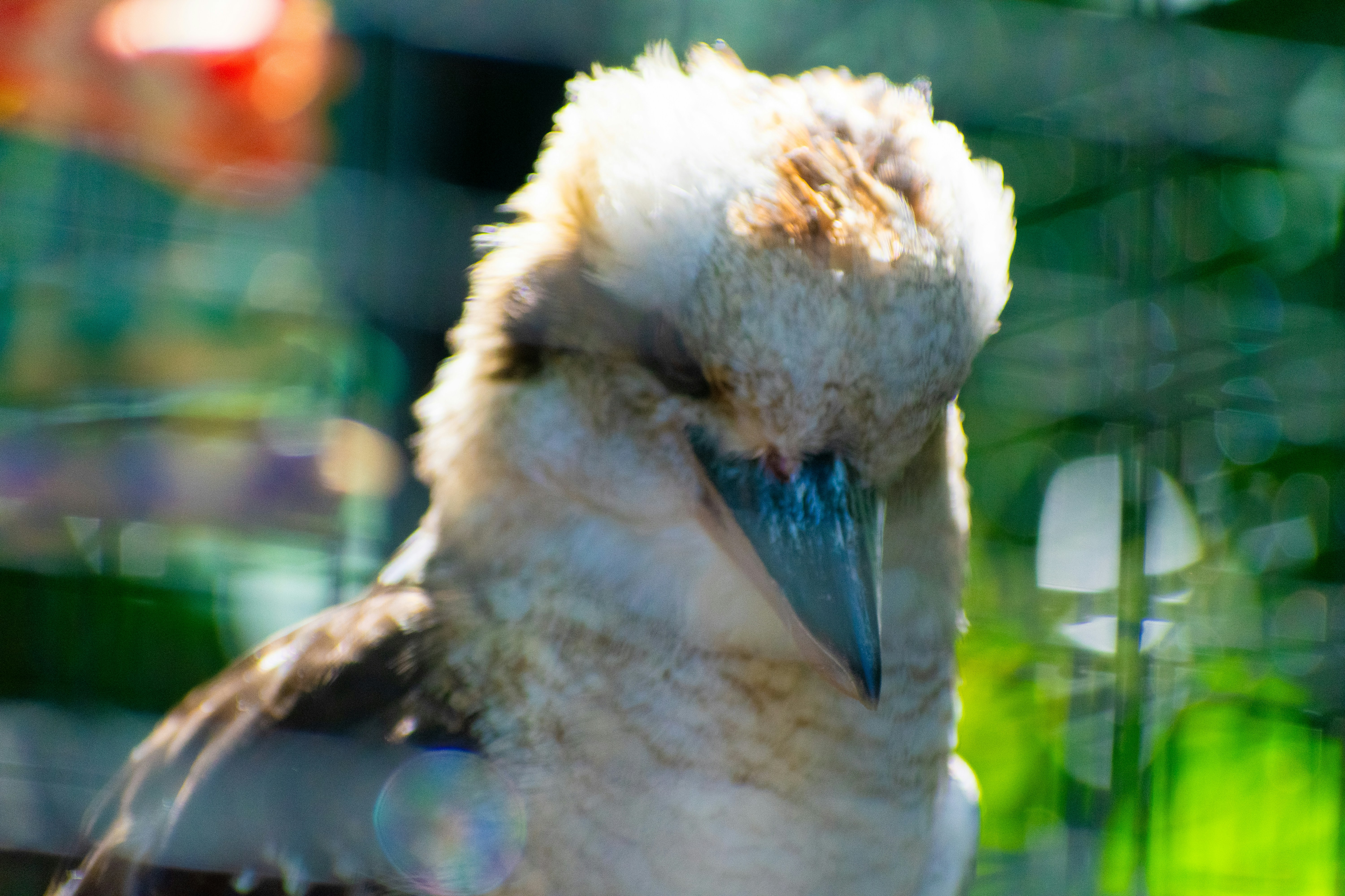 Photo by probablyrobin