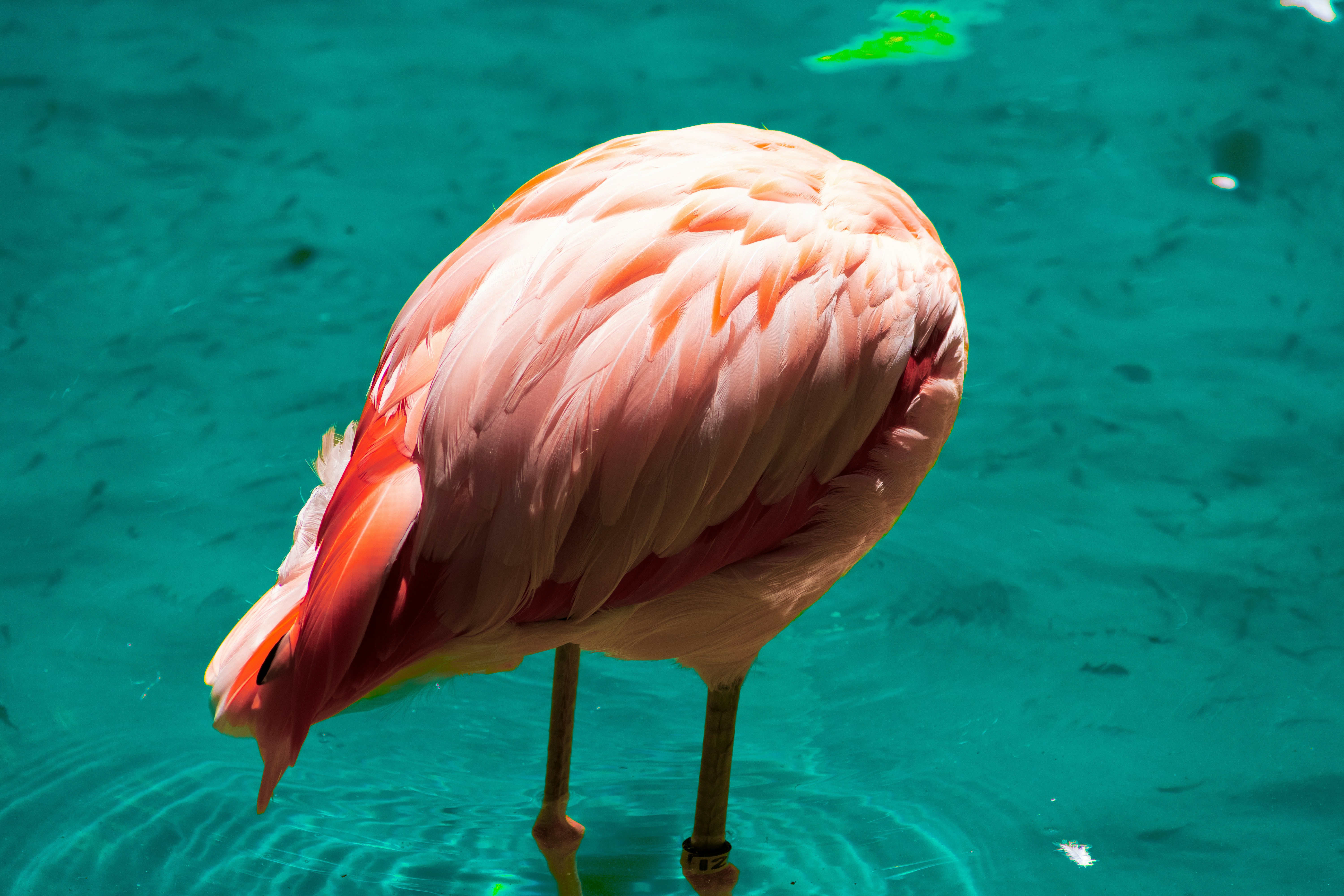 Photo by probablyrobin