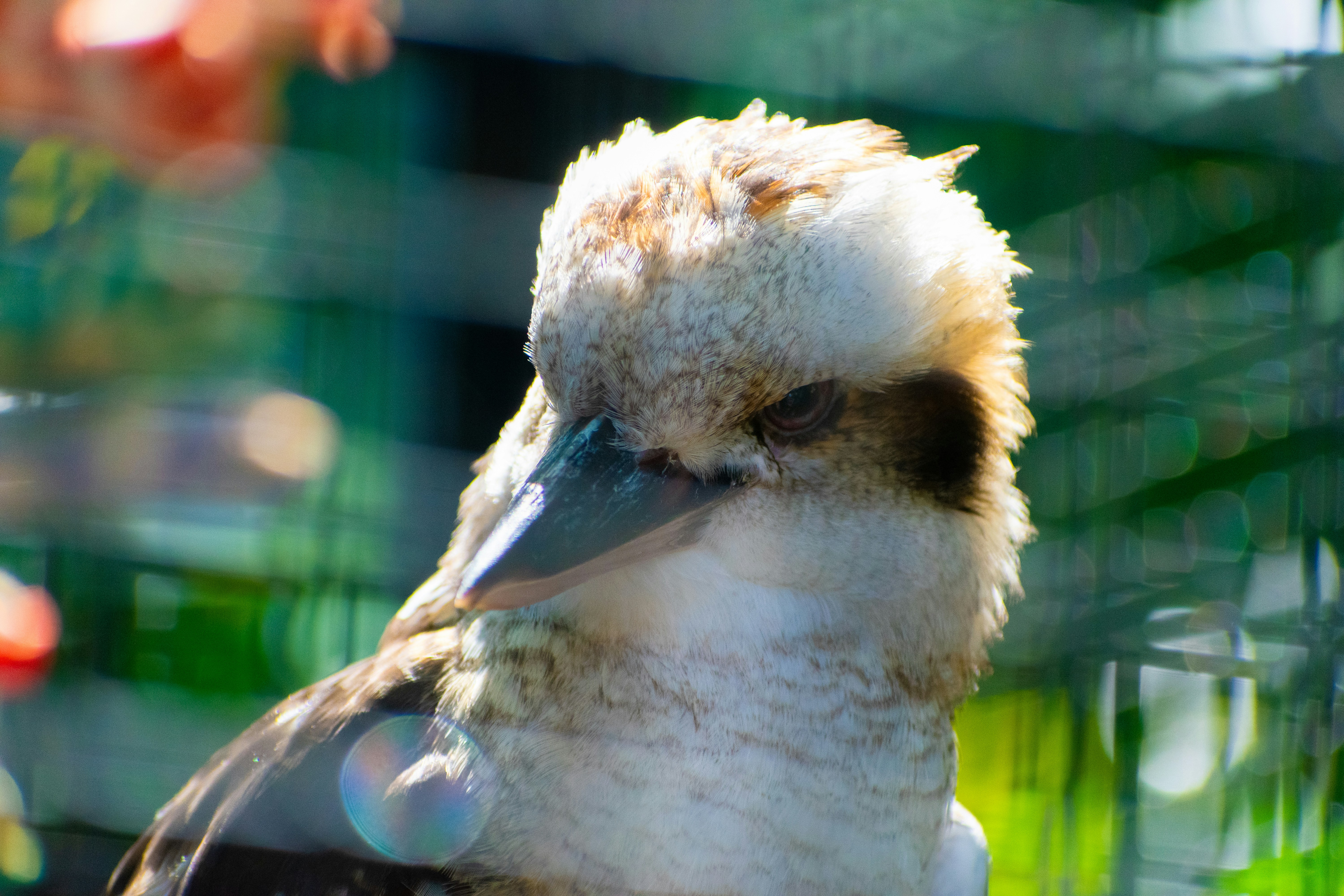 Photo by probablyrobin