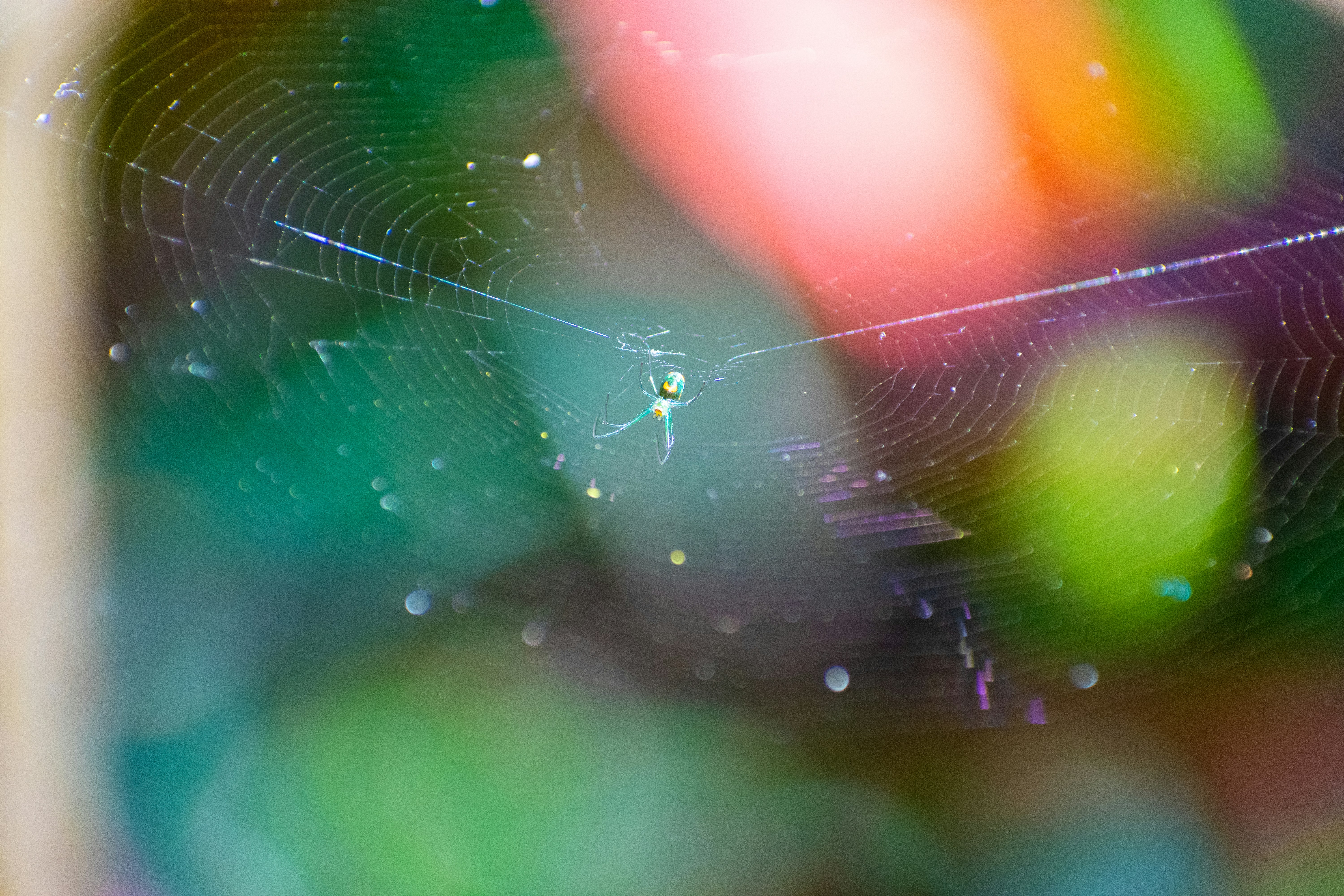 Photo by probablyrobin