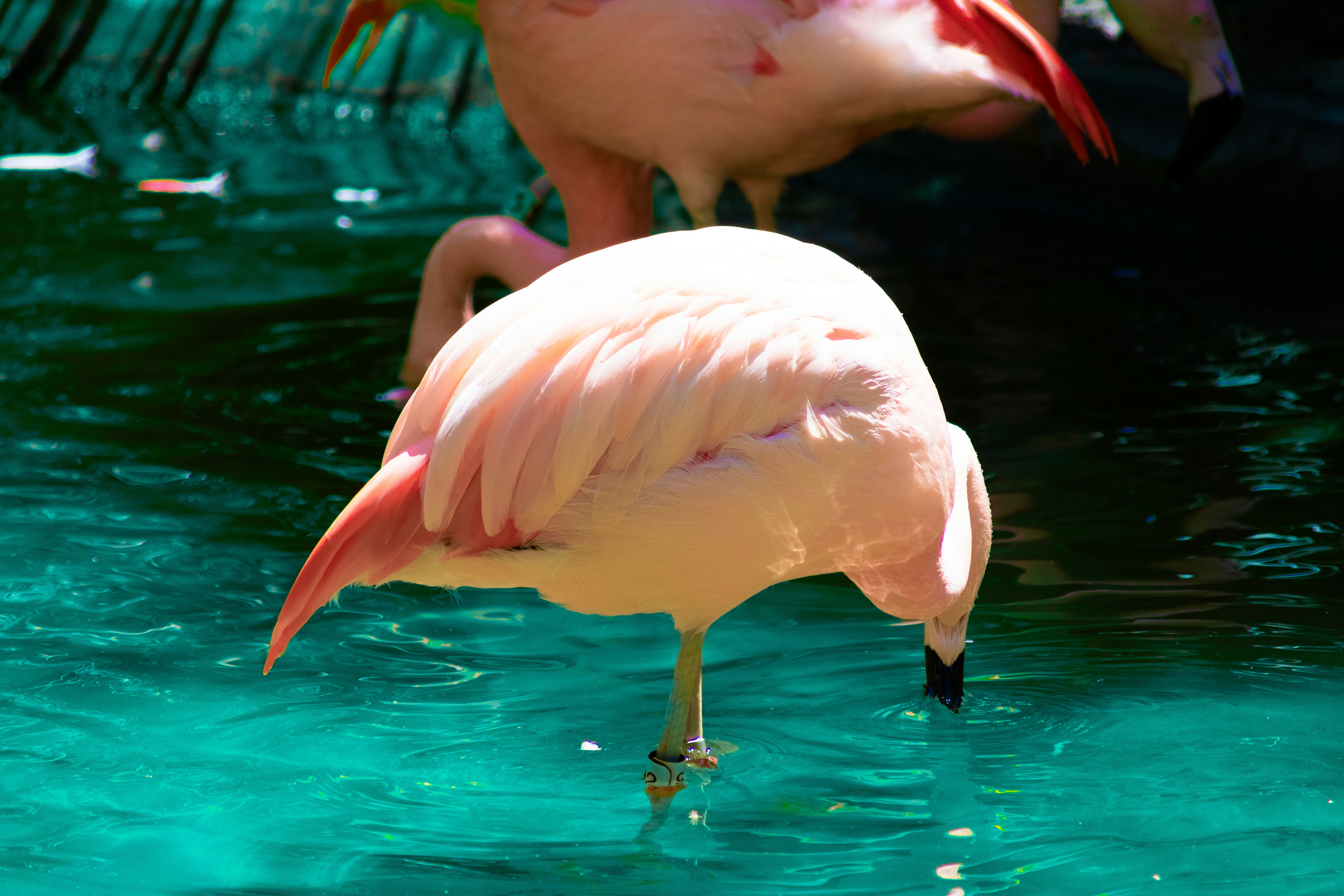 Photo by probablyrobin