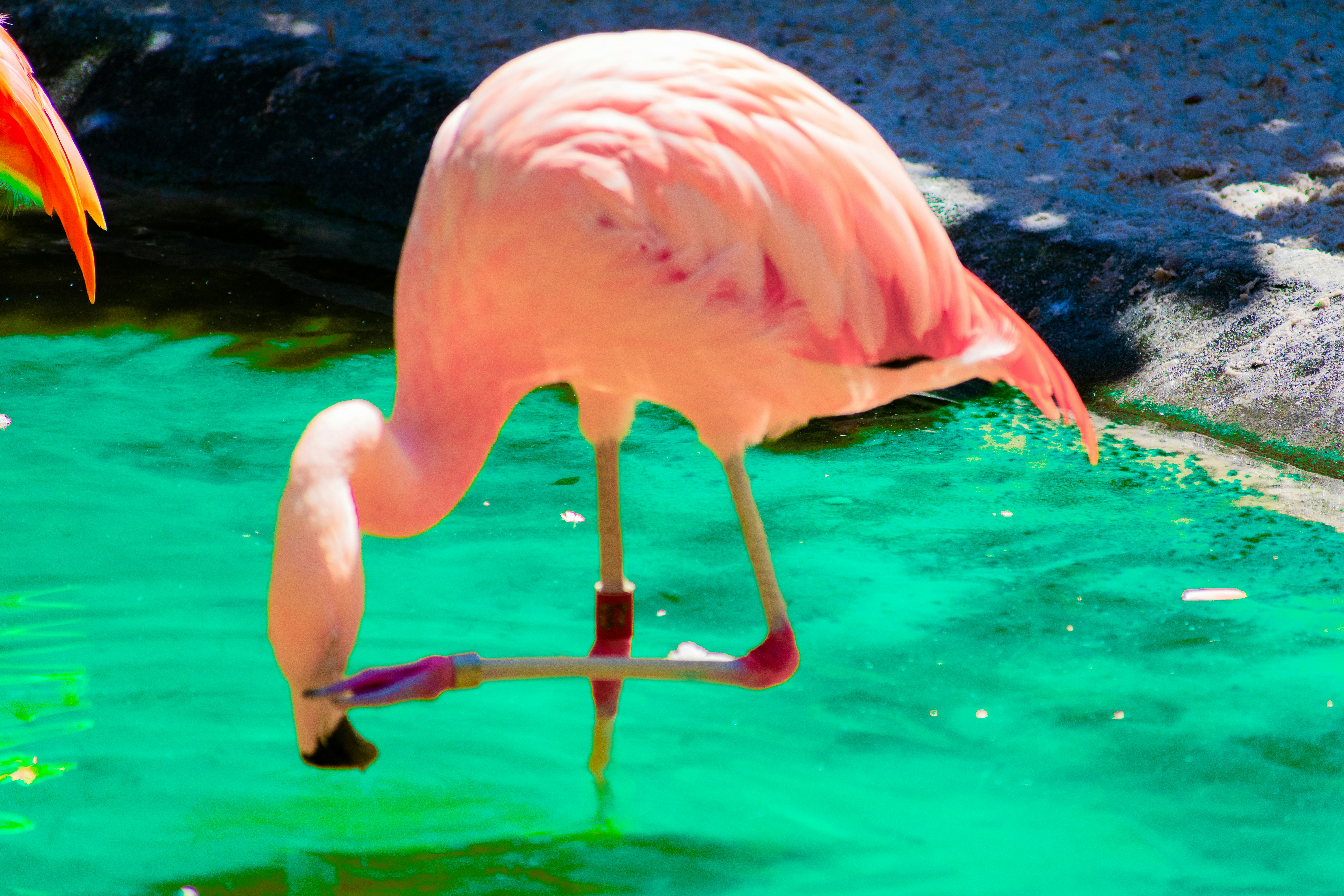 Photo by probablyrobin