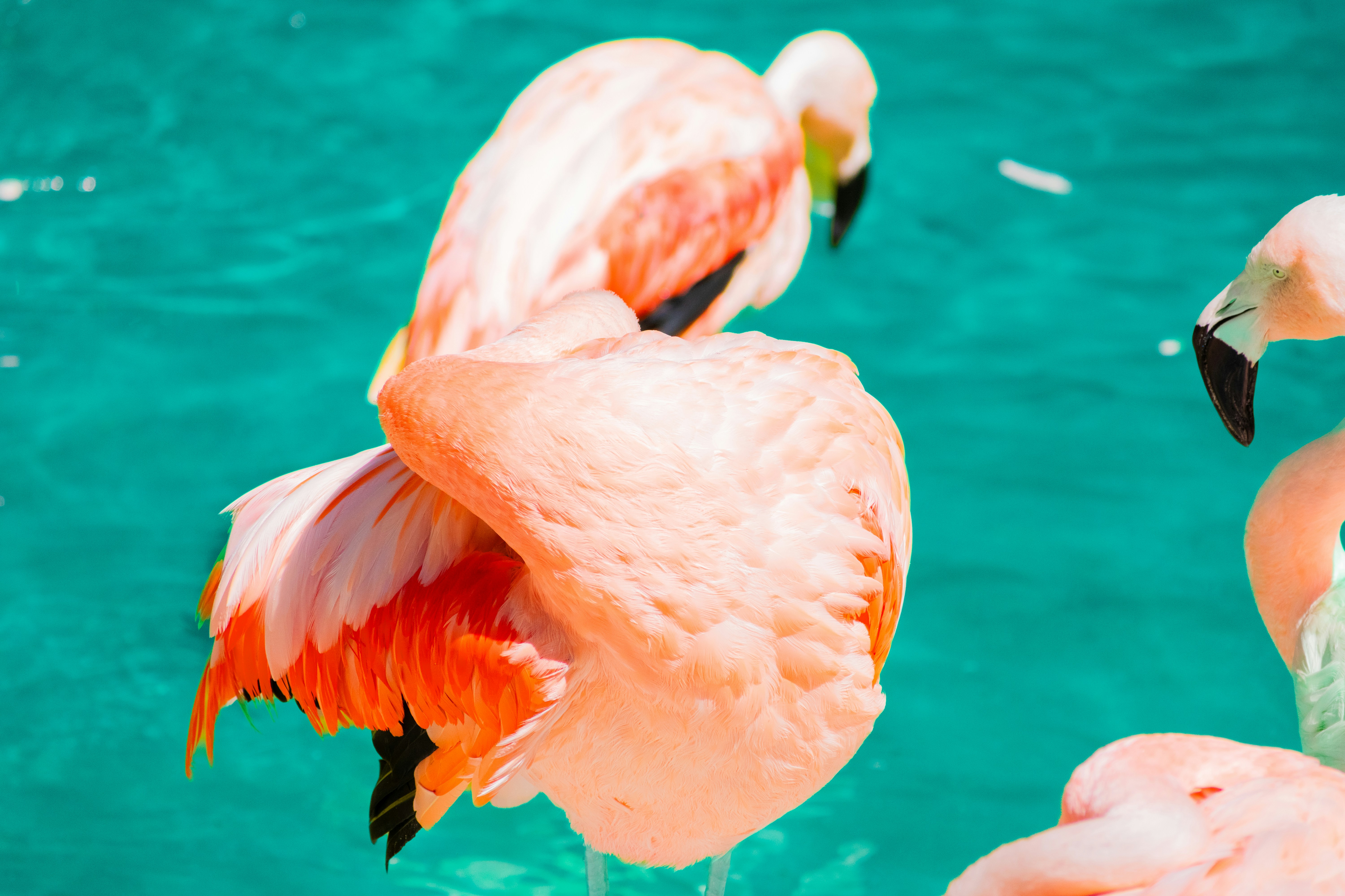 Photo by probablyrobin