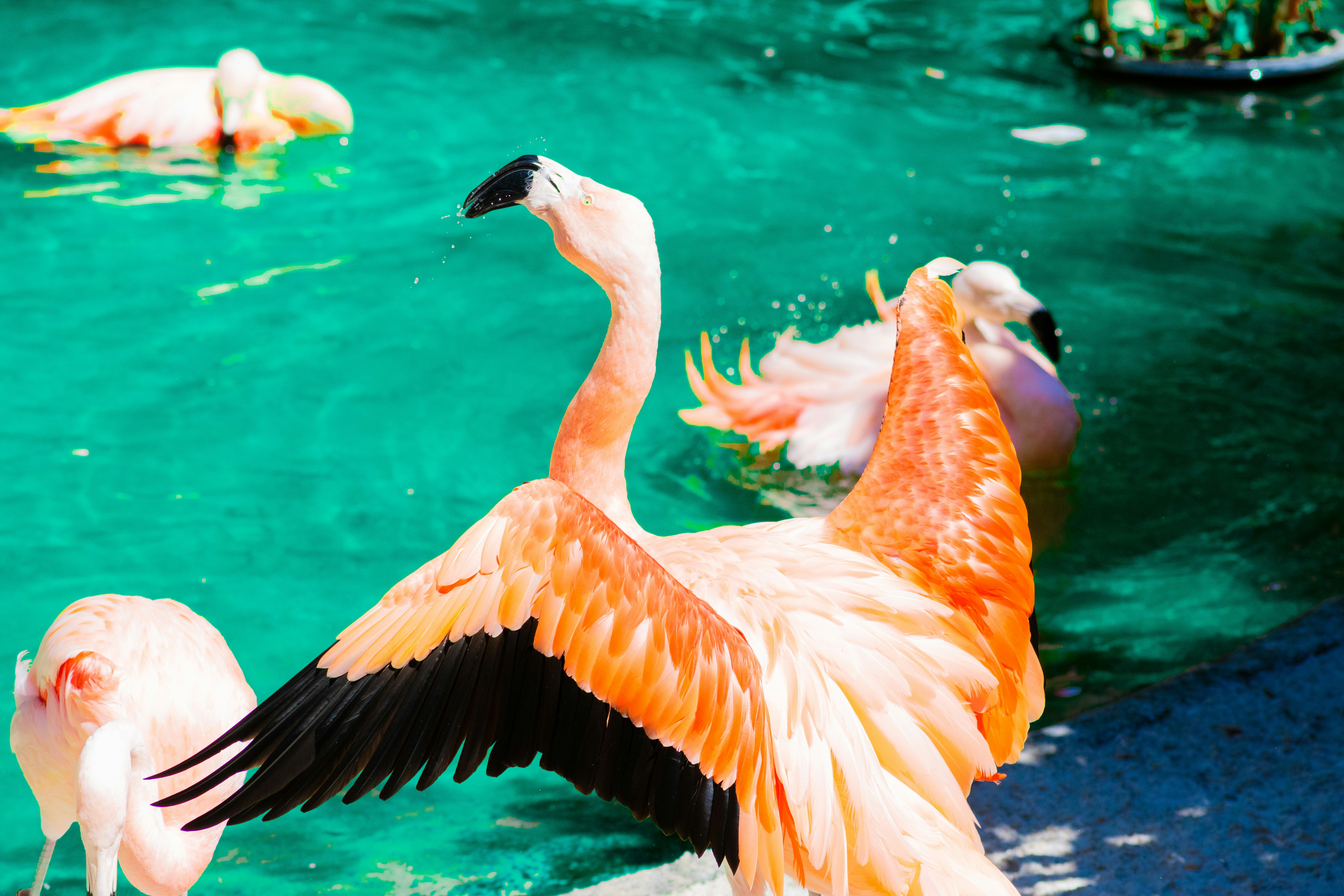 Photo by probablyrobin