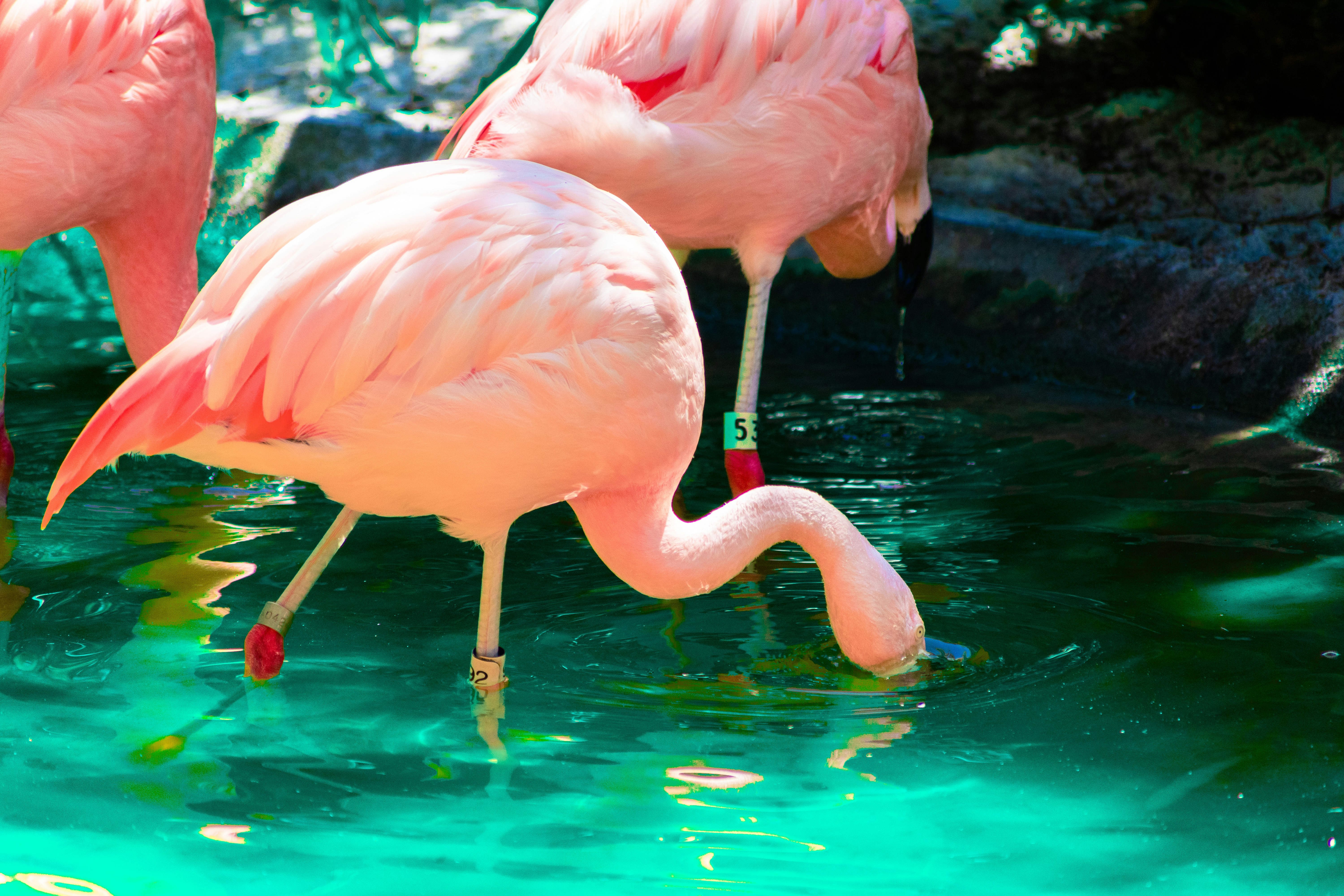 Photo by probablyrobin