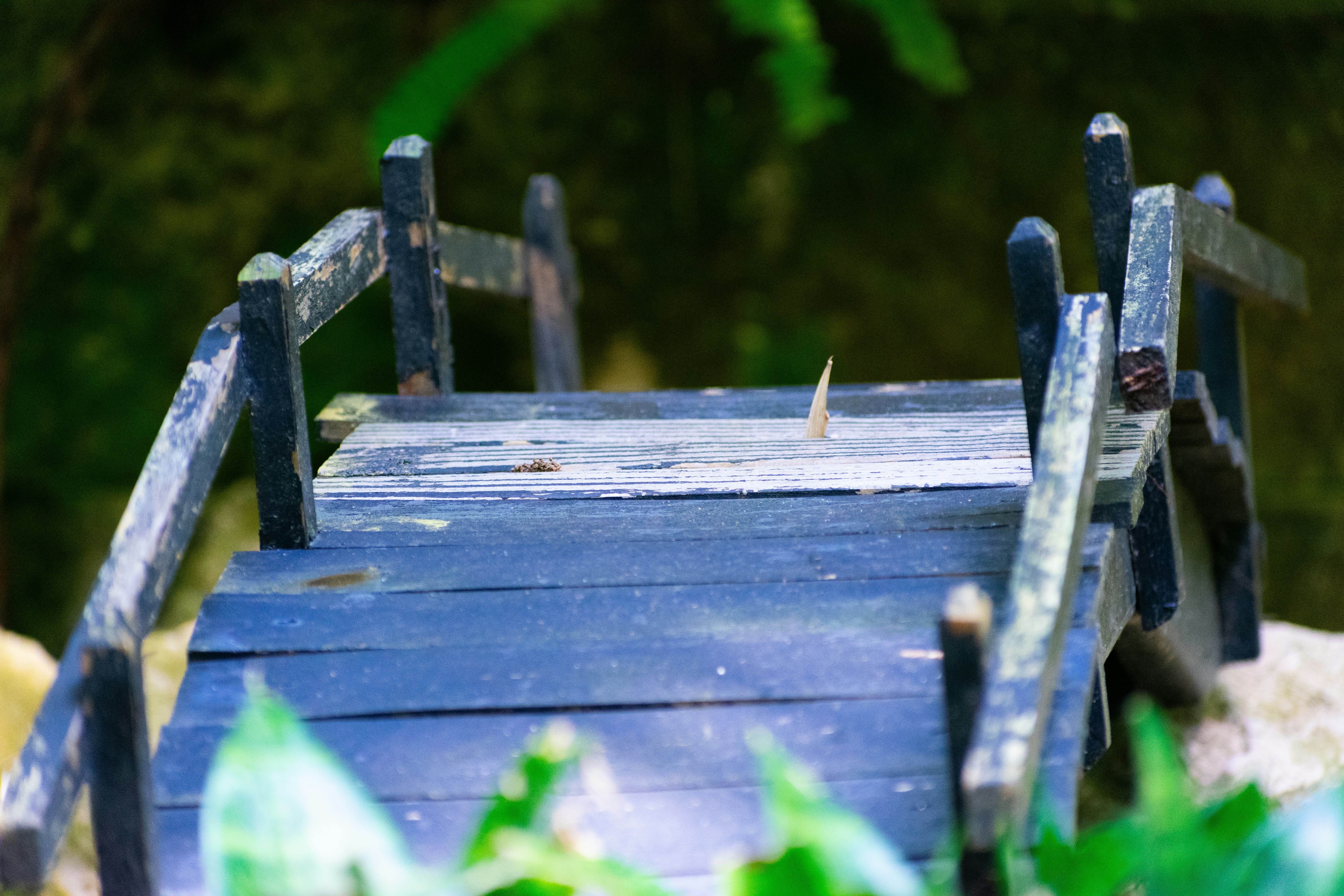 Photo by probablyrobin