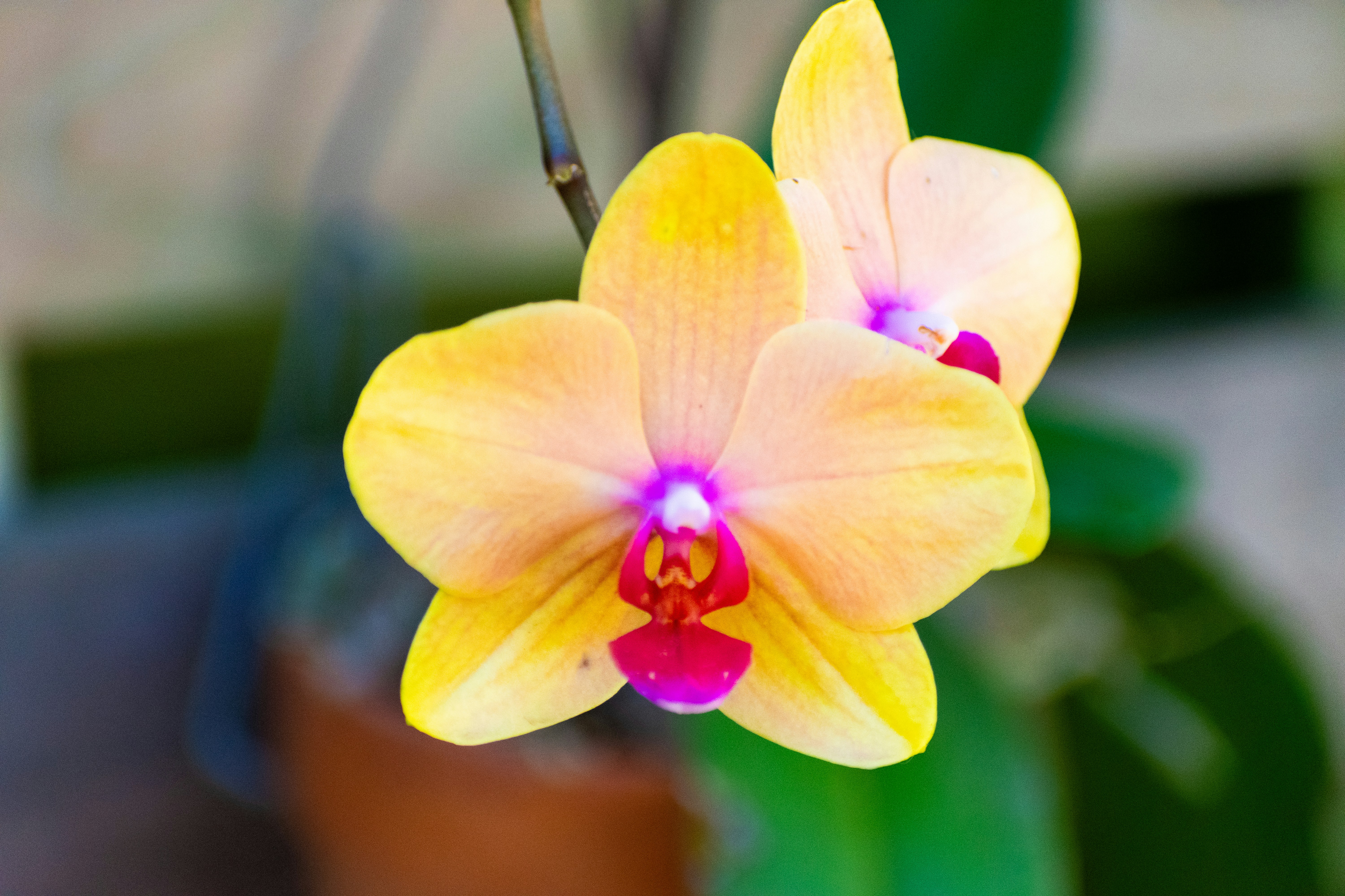 Photo by probablyrobin