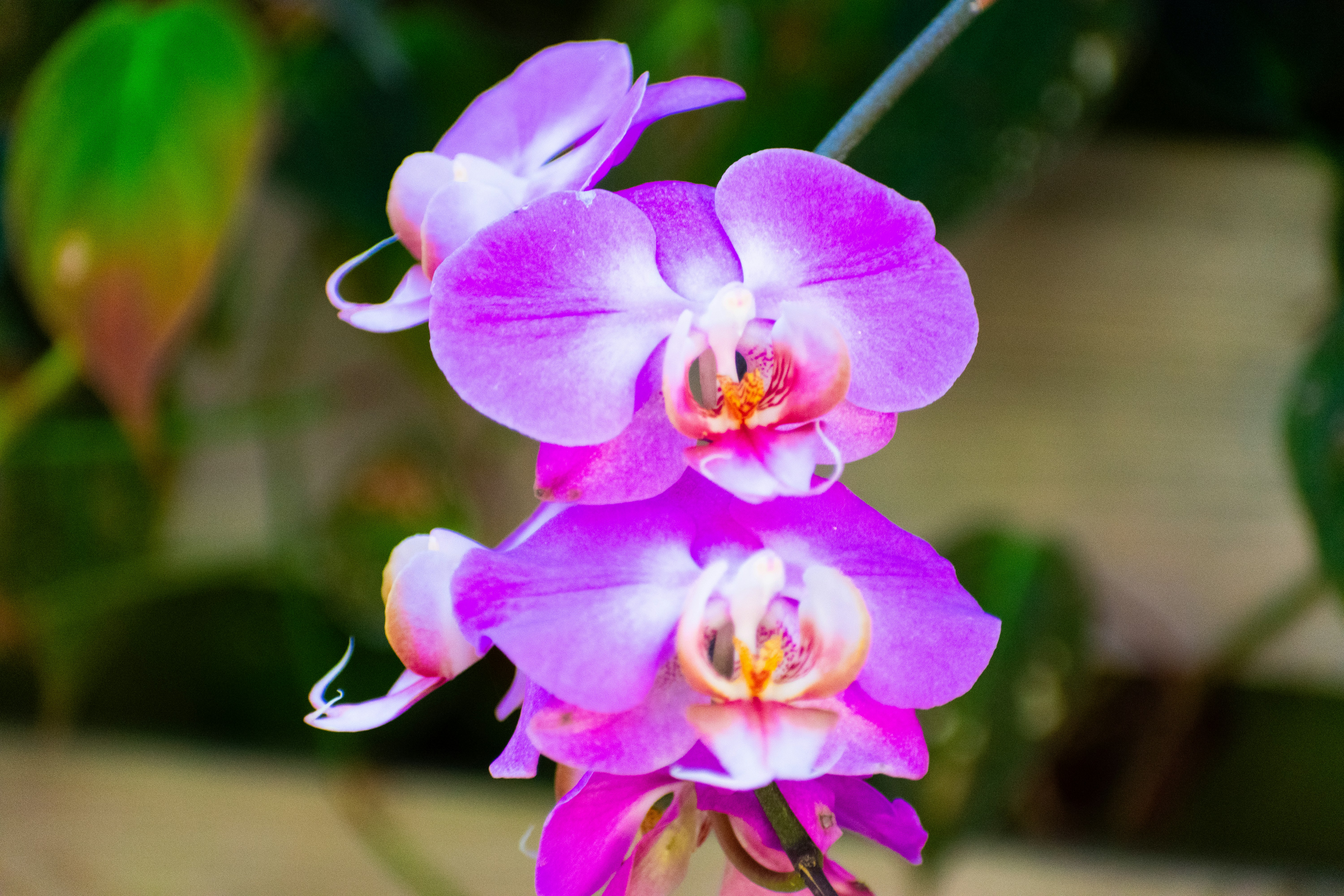 Photo by probablyrobin