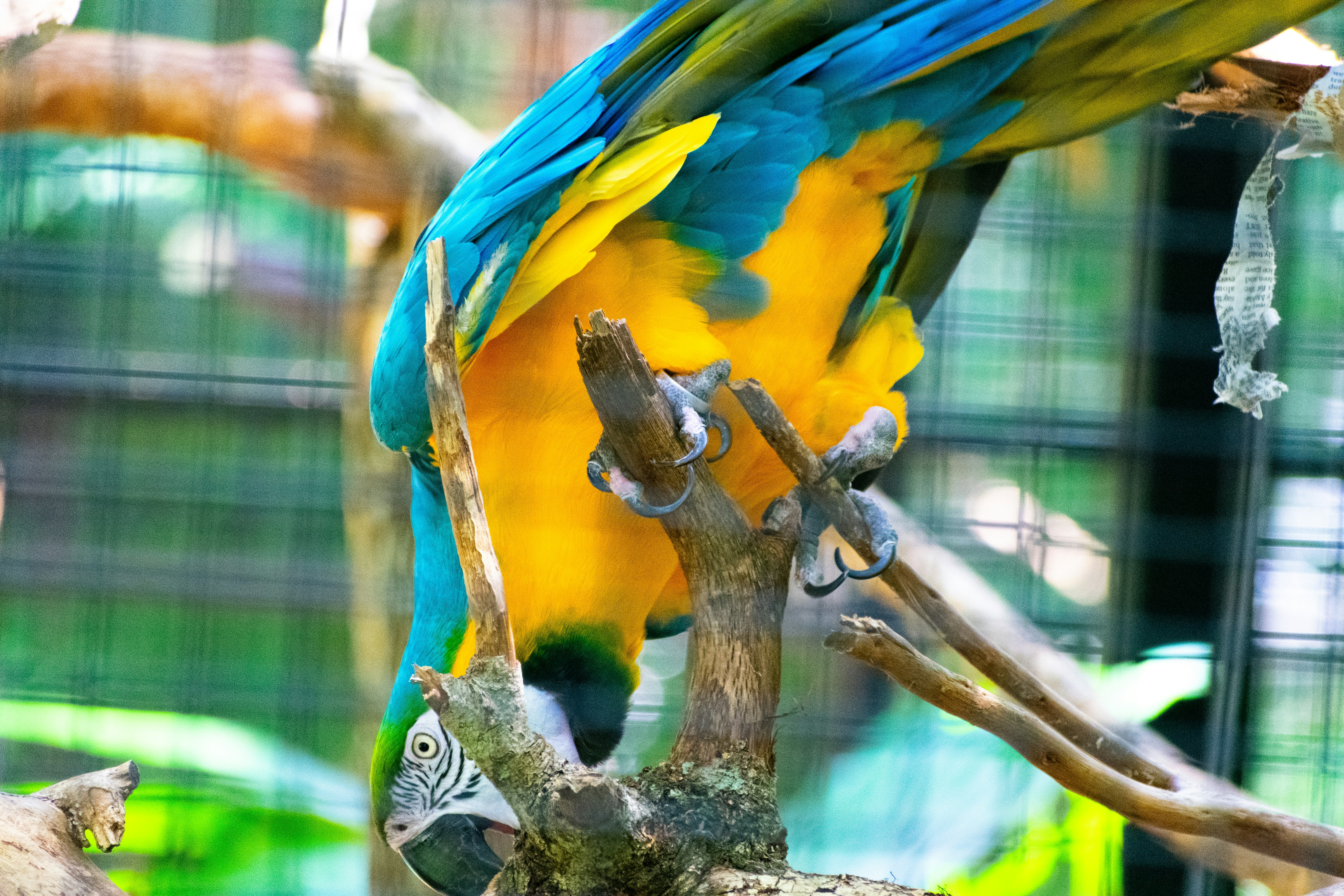 Photo by probablyrobin