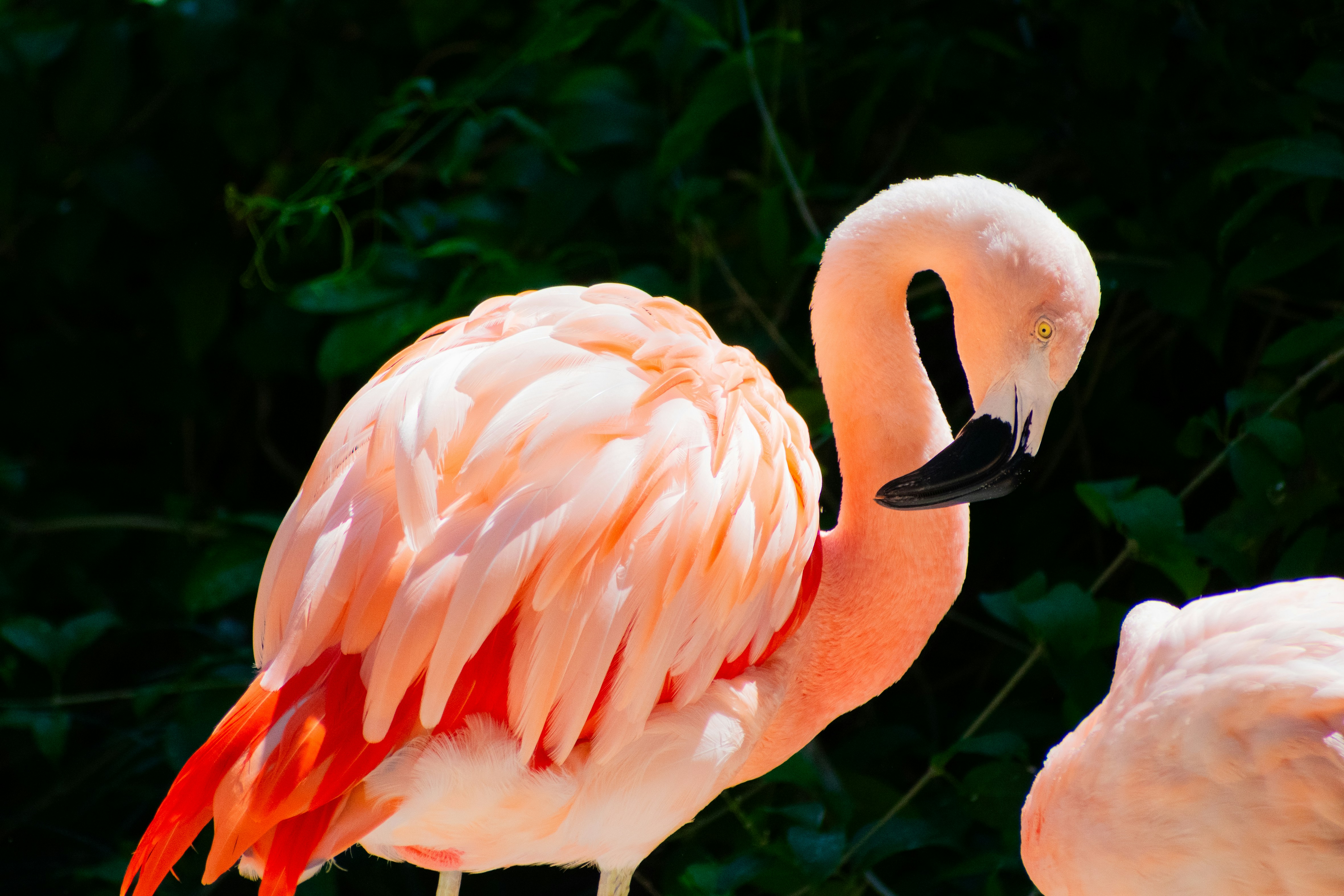 Photo by probablyrobin