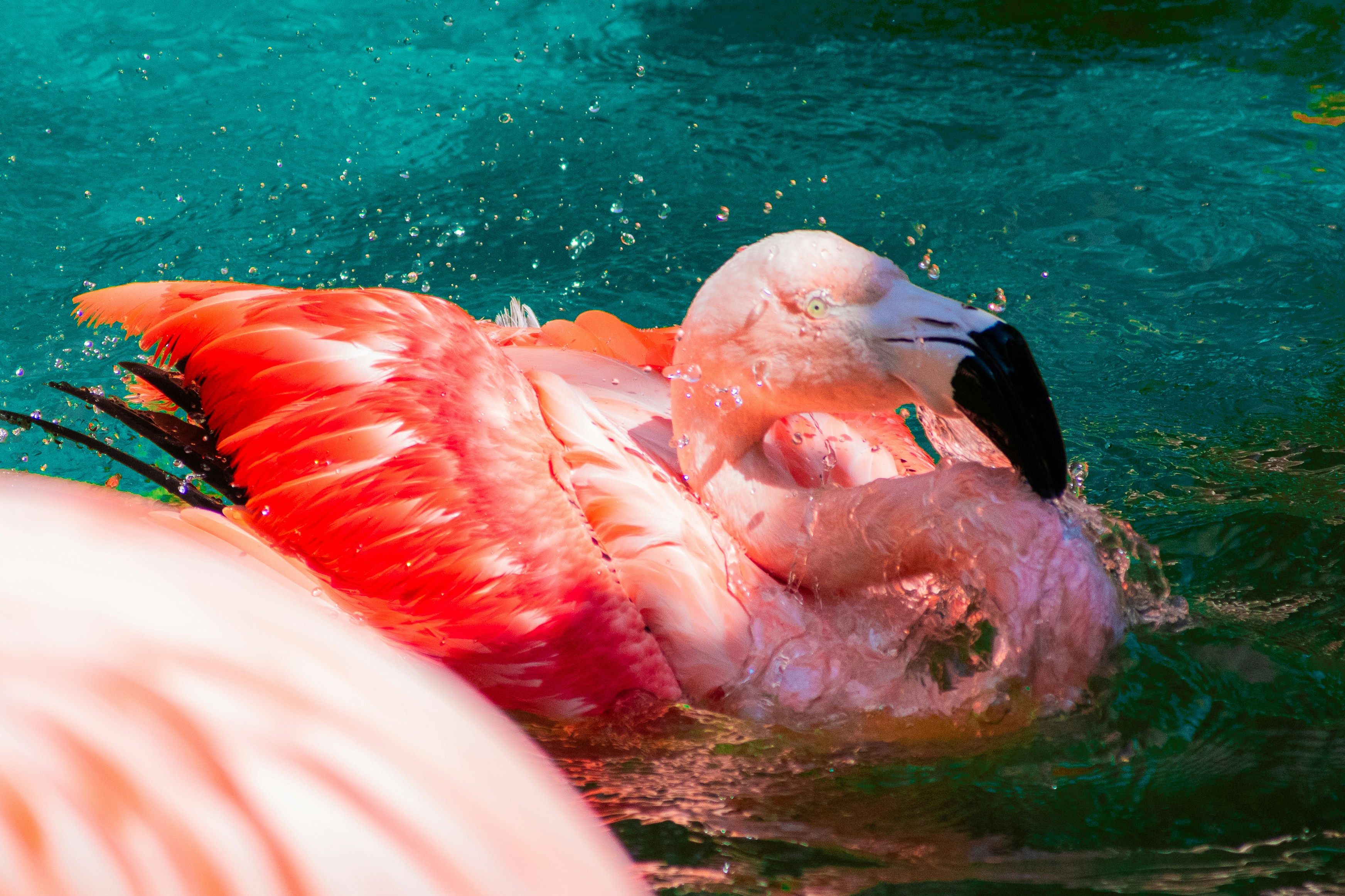 Photo by probablyrobin