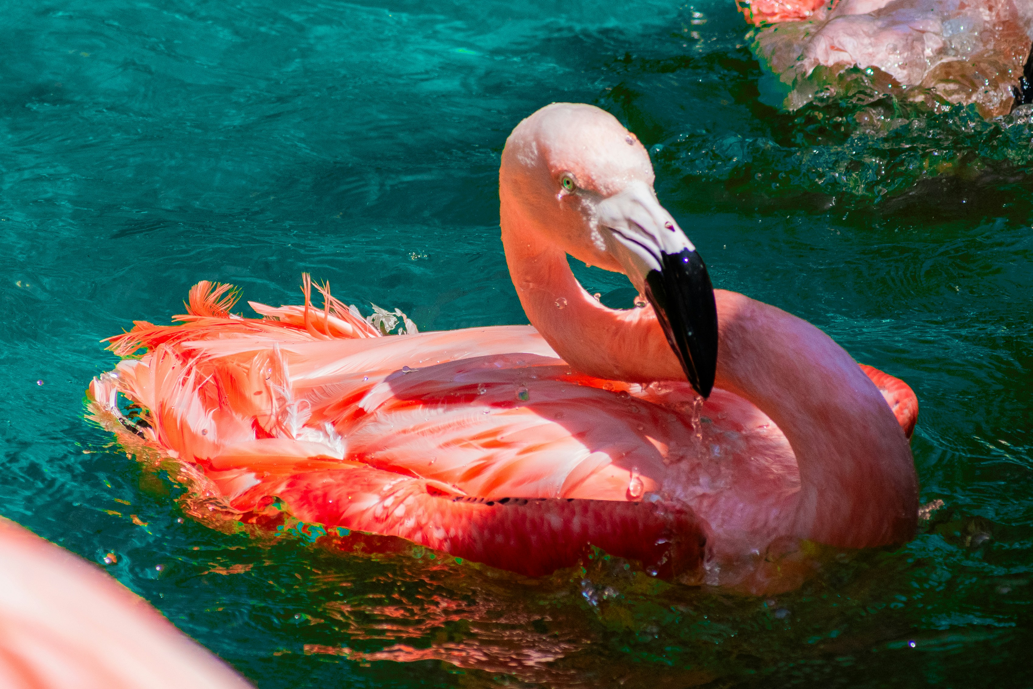 Photo by probablyrobin