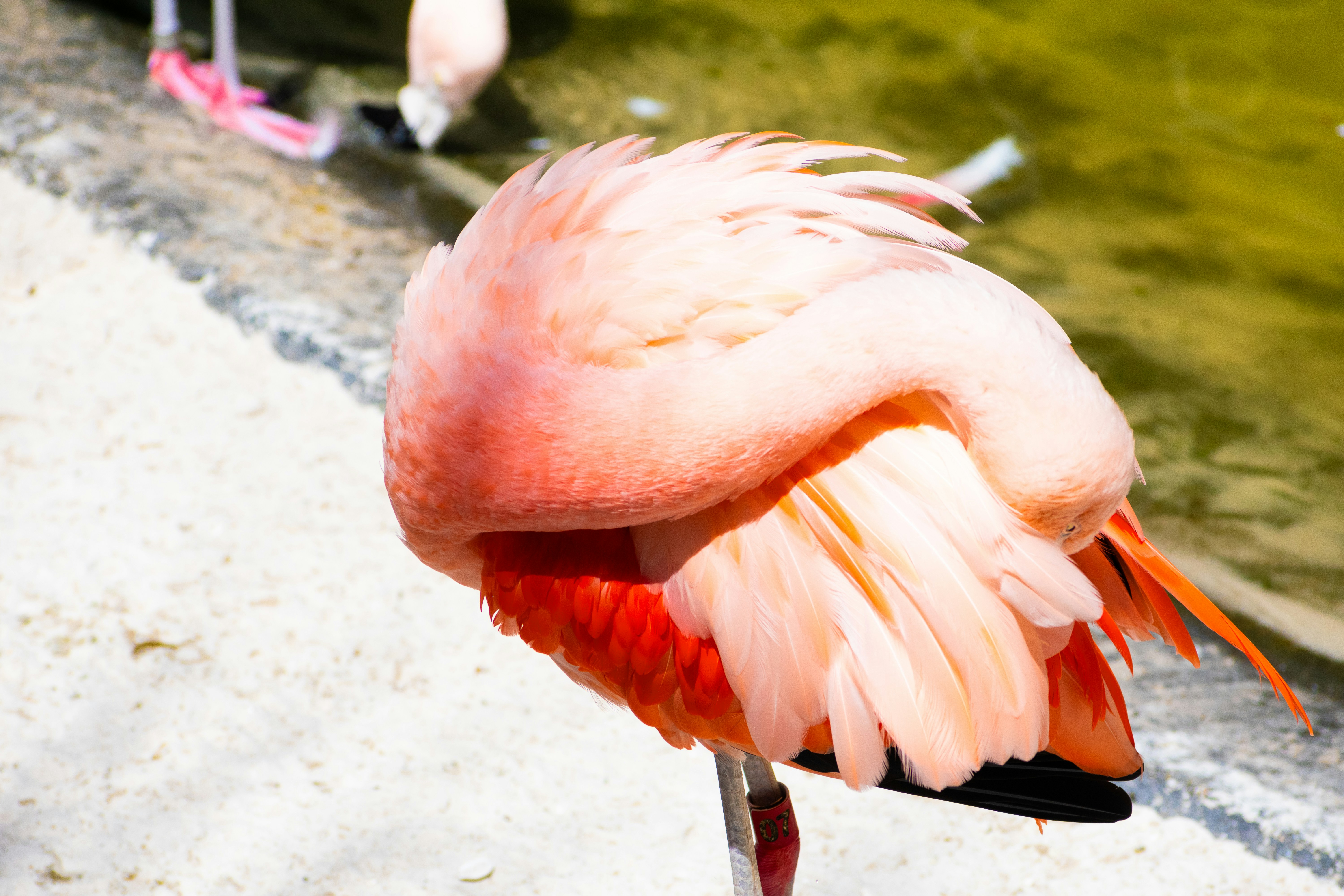 Photo by probablyrobin