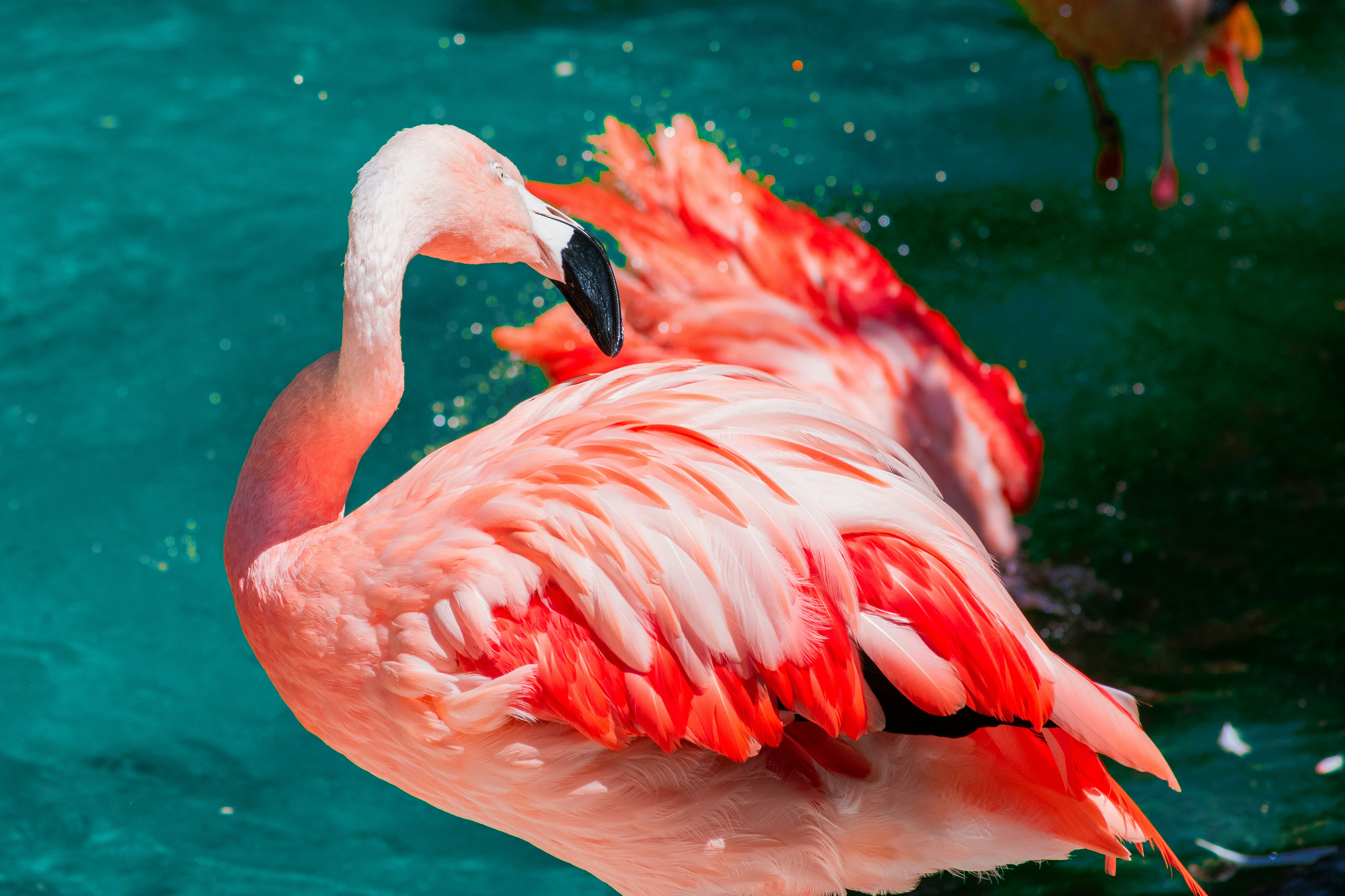 Photo by probablyrobin