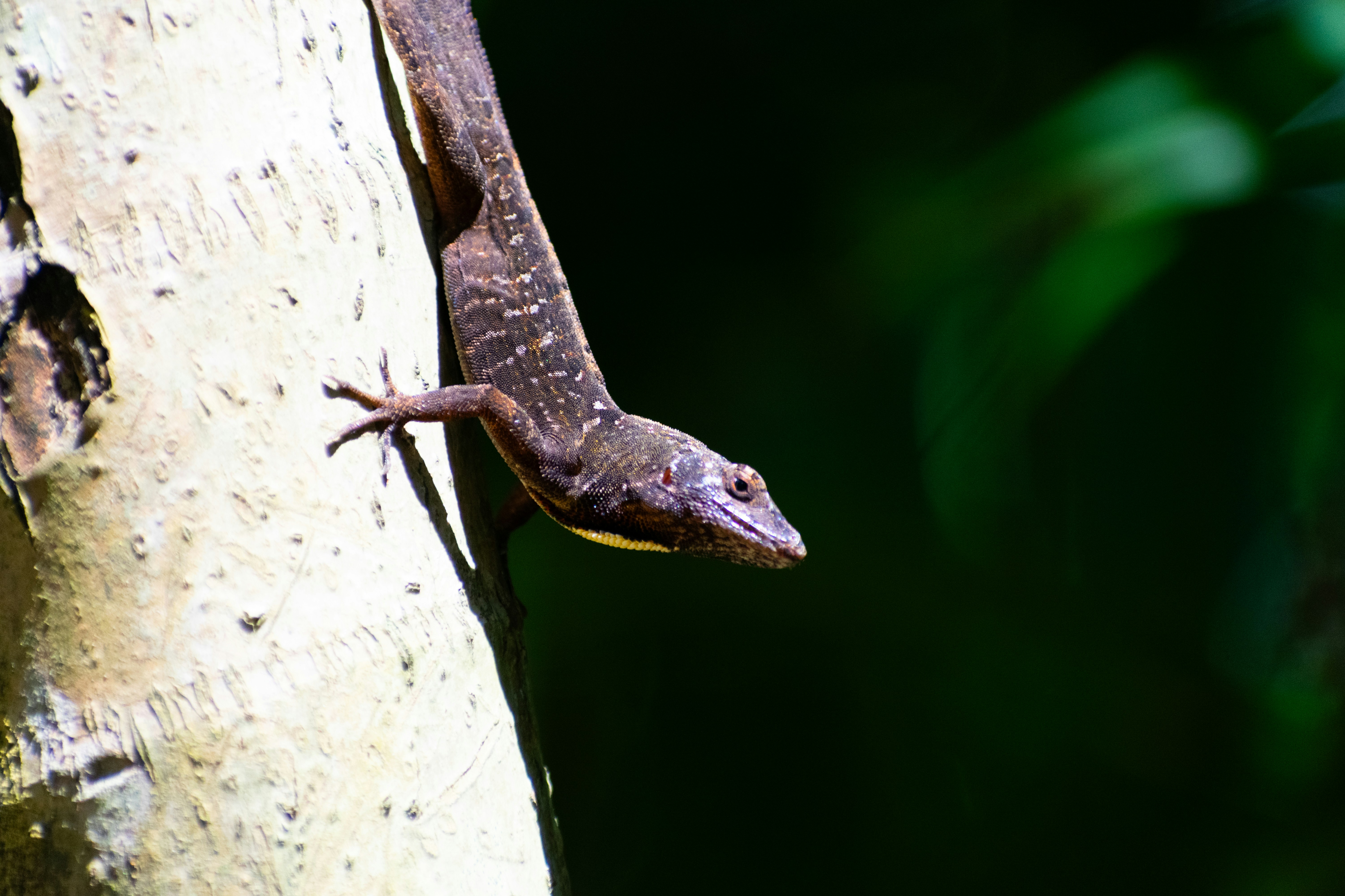 Photo by probablyrobin