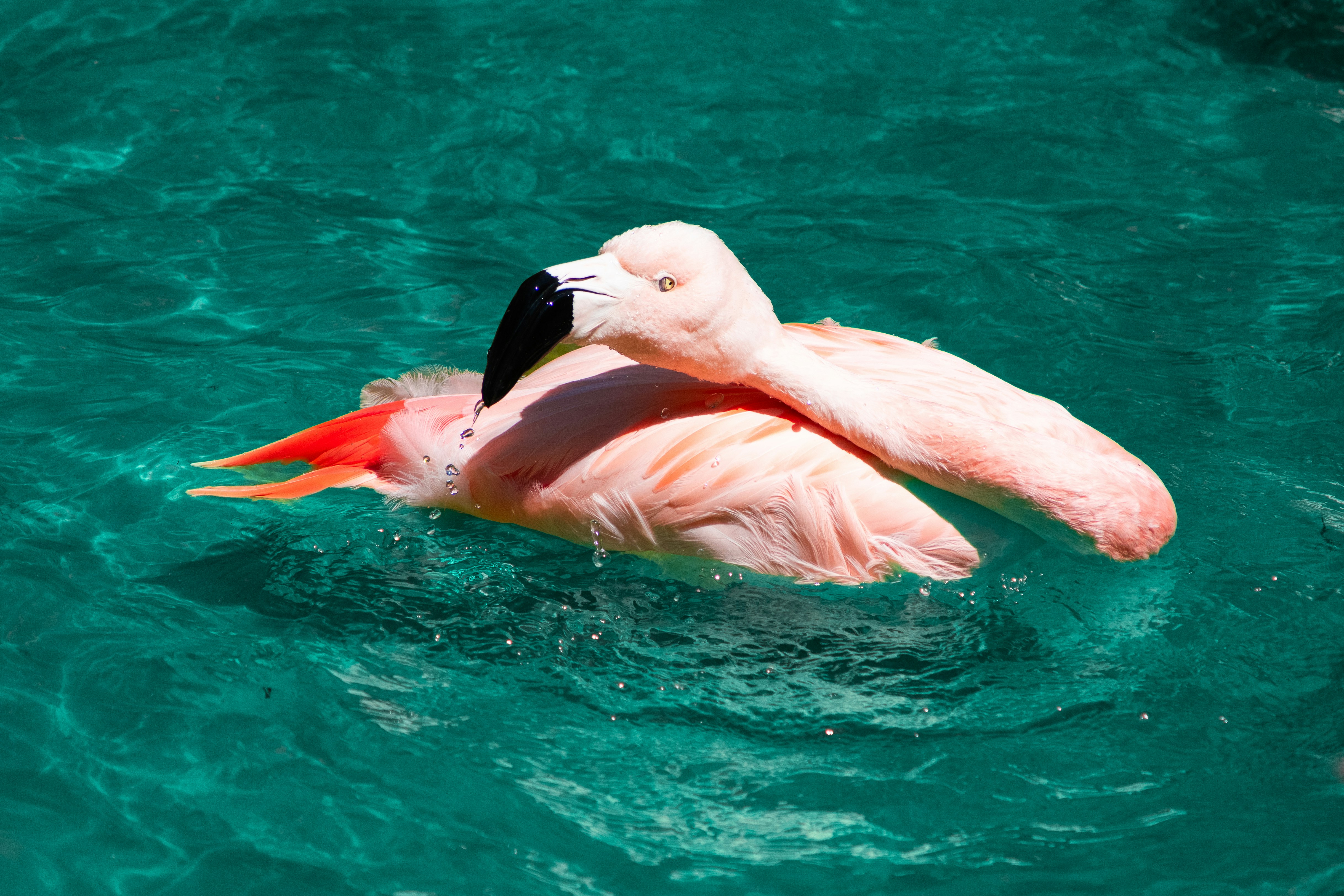 Photo by probablyrobin